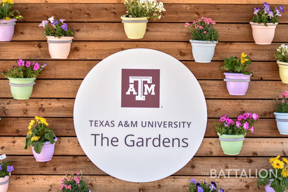 Earth Day will be held on Thursday, April 22 and students are encouraged to take advantage of the opportunity to learn more about the environment through a number of experiences in College Station.&#160;