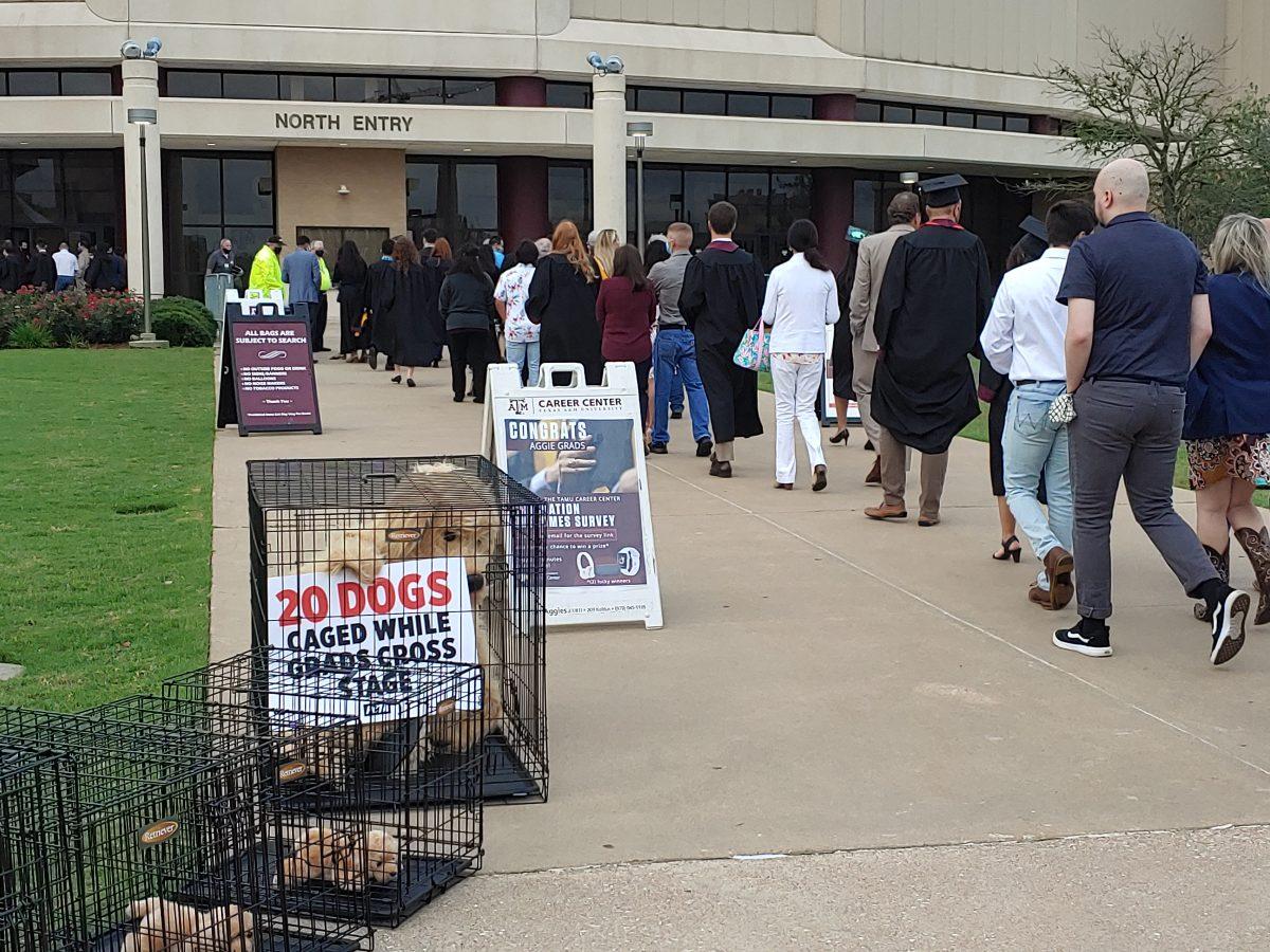 Four members of the animal activist group, PETA, gathered outside of Reed Arena on May 12 to protest during a graduation ceremony for biomedical sciences students.
