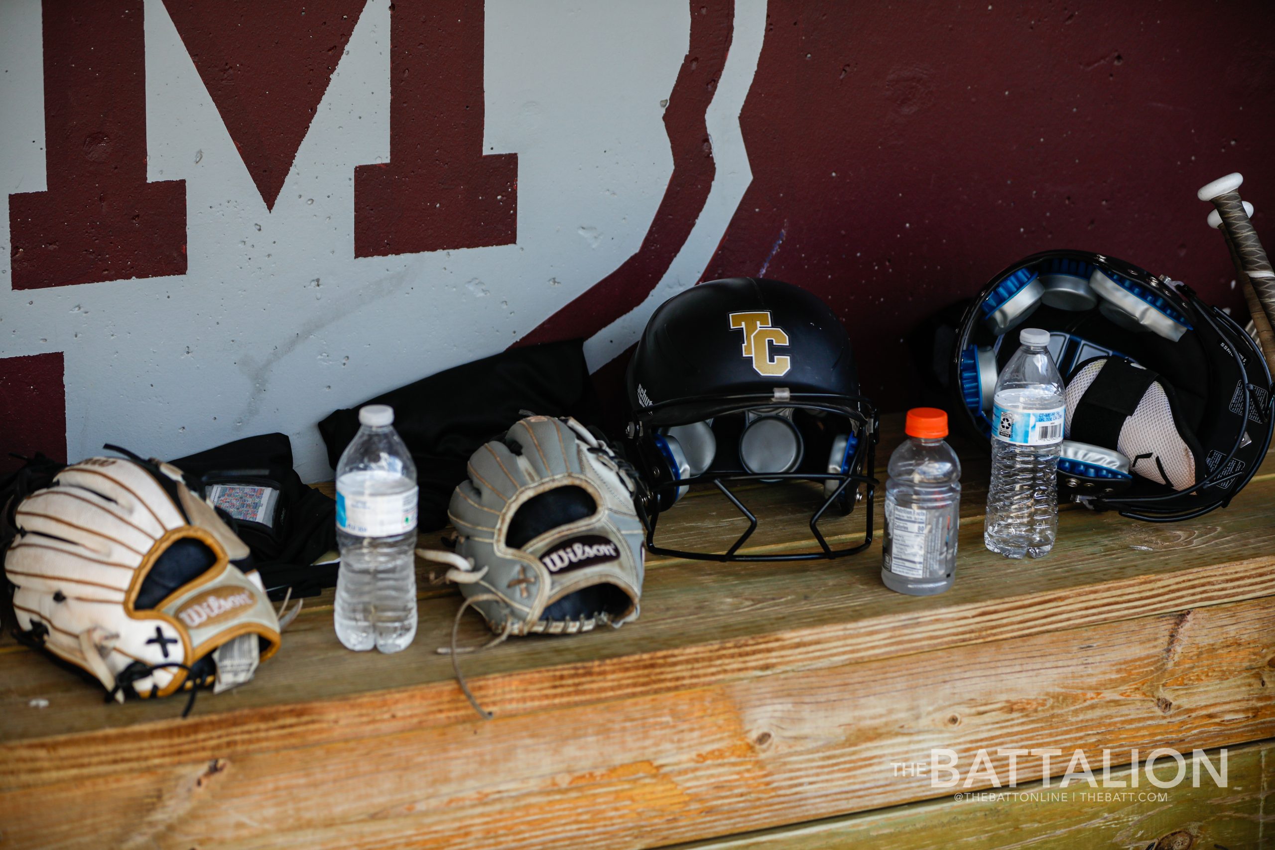 GALLERY%3A+Softball+vs.+Temple+College