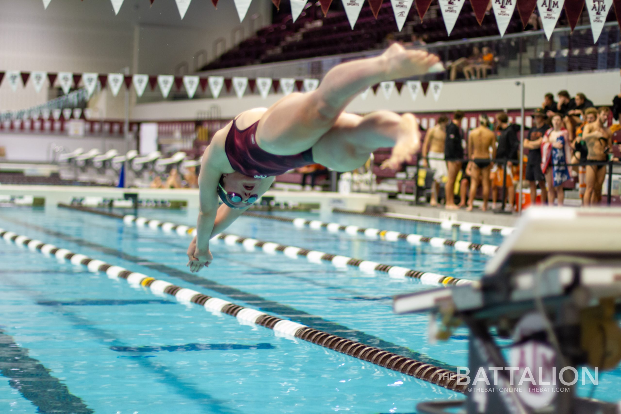 GALLERY%3A+Swimming+%26+Diving+vs.+Texas