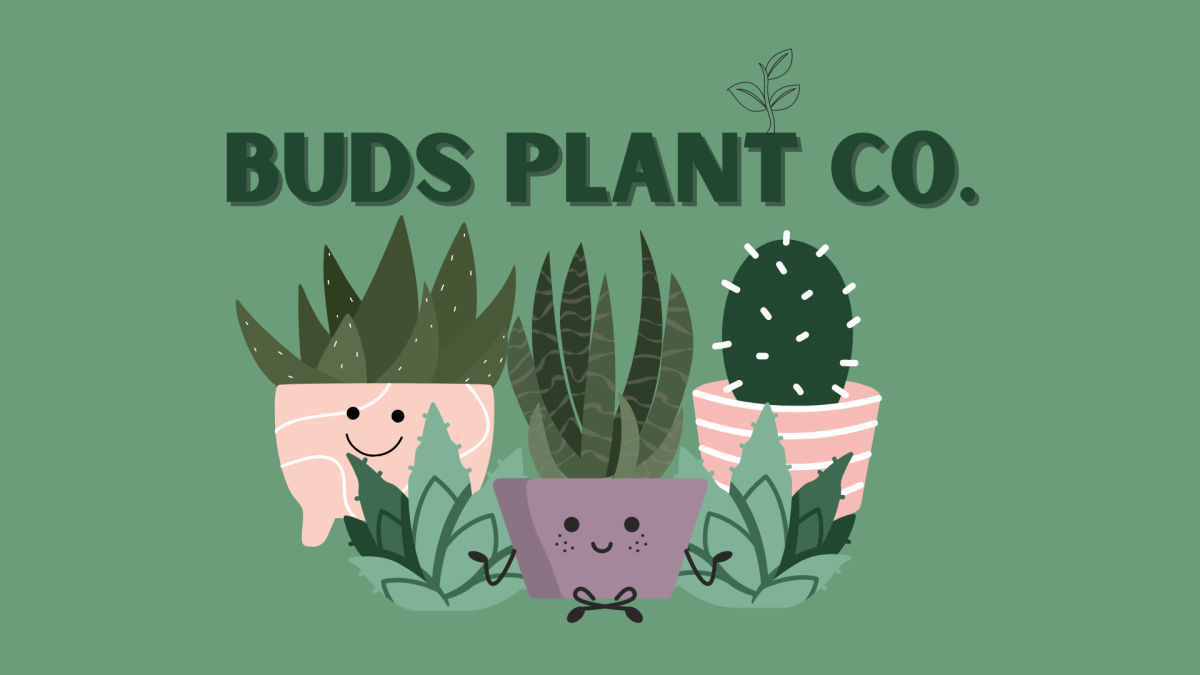 Buds+Plant+Co