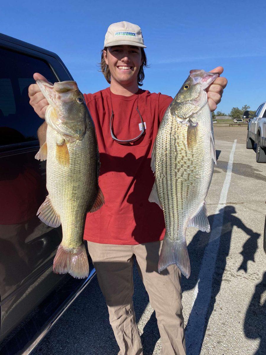 Sid+Wallace+of+Aggie+Anglers+holding+his+first+place+bass+%28left%29+and+a+%26%238220%3Bbonus%26%238221%3B+hybrid+bass.
