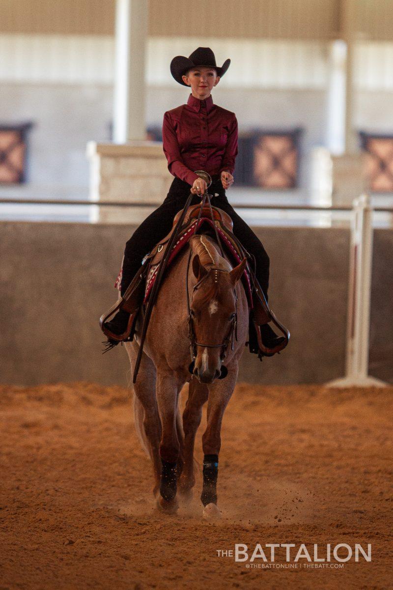 Equestrian vs. Baylor Recap