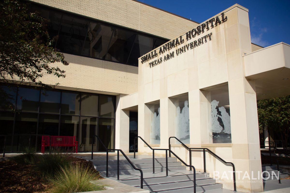 Located on University Drive, Texas A&M’s Small Animal Hospital is a state-of-the-art veterinary care facility which works to treat pets and train future veterinarians.