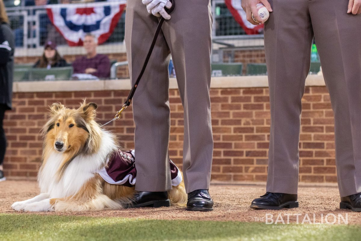 Reveille X was chosen to be the thrower of the first pitch for the Aggies opening game at Blue Bell Park on Friday, Feb. 18, 2022.