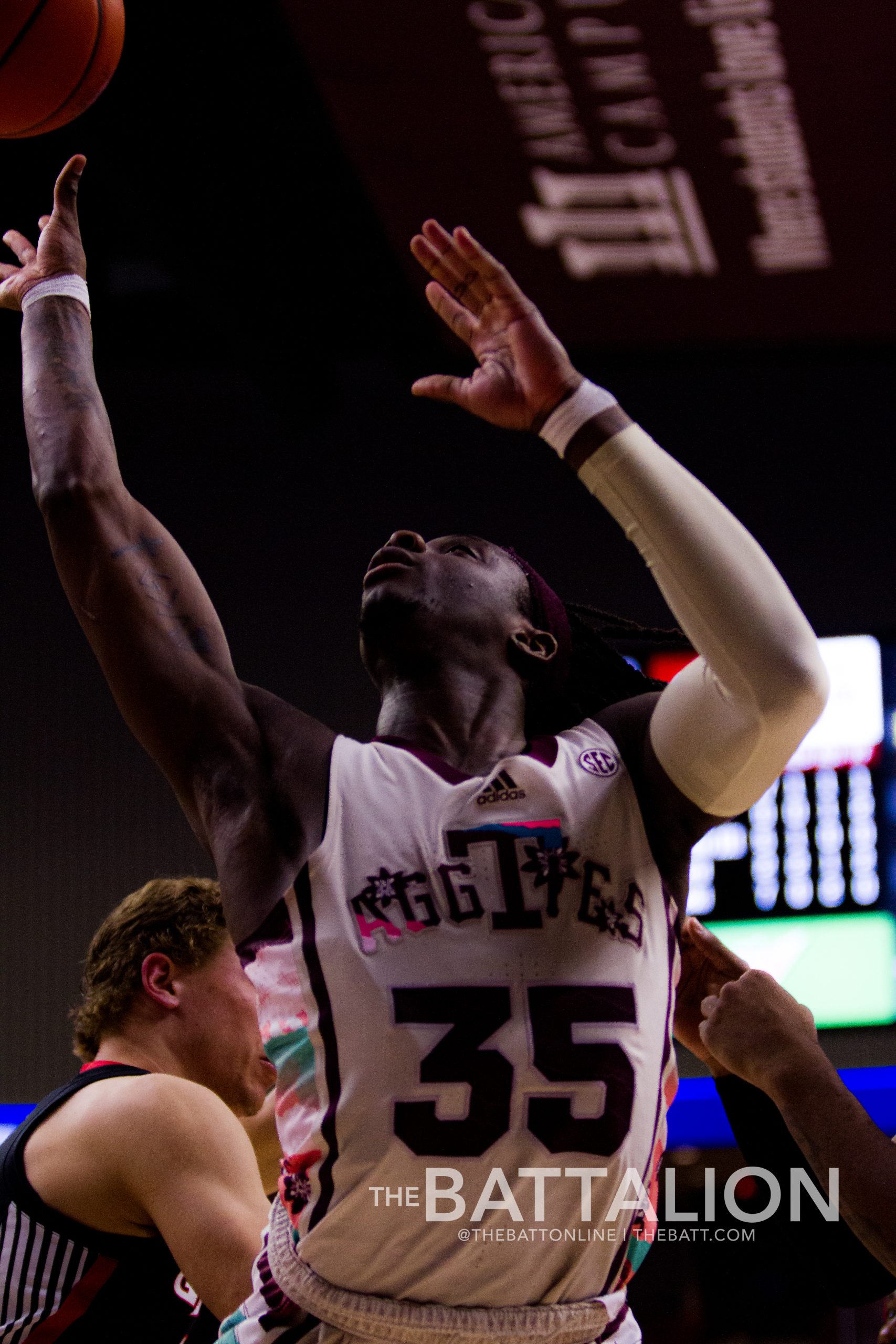 GALLERY: Men's Basketball vs. Georgia