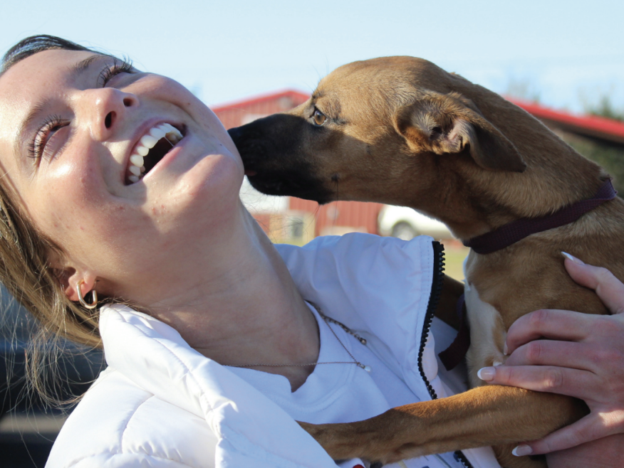 Aggieland Humane Society offers a variety of volunteer tasks including working with dogs and cats, administration and opportunities with their spay and neuter clinic.