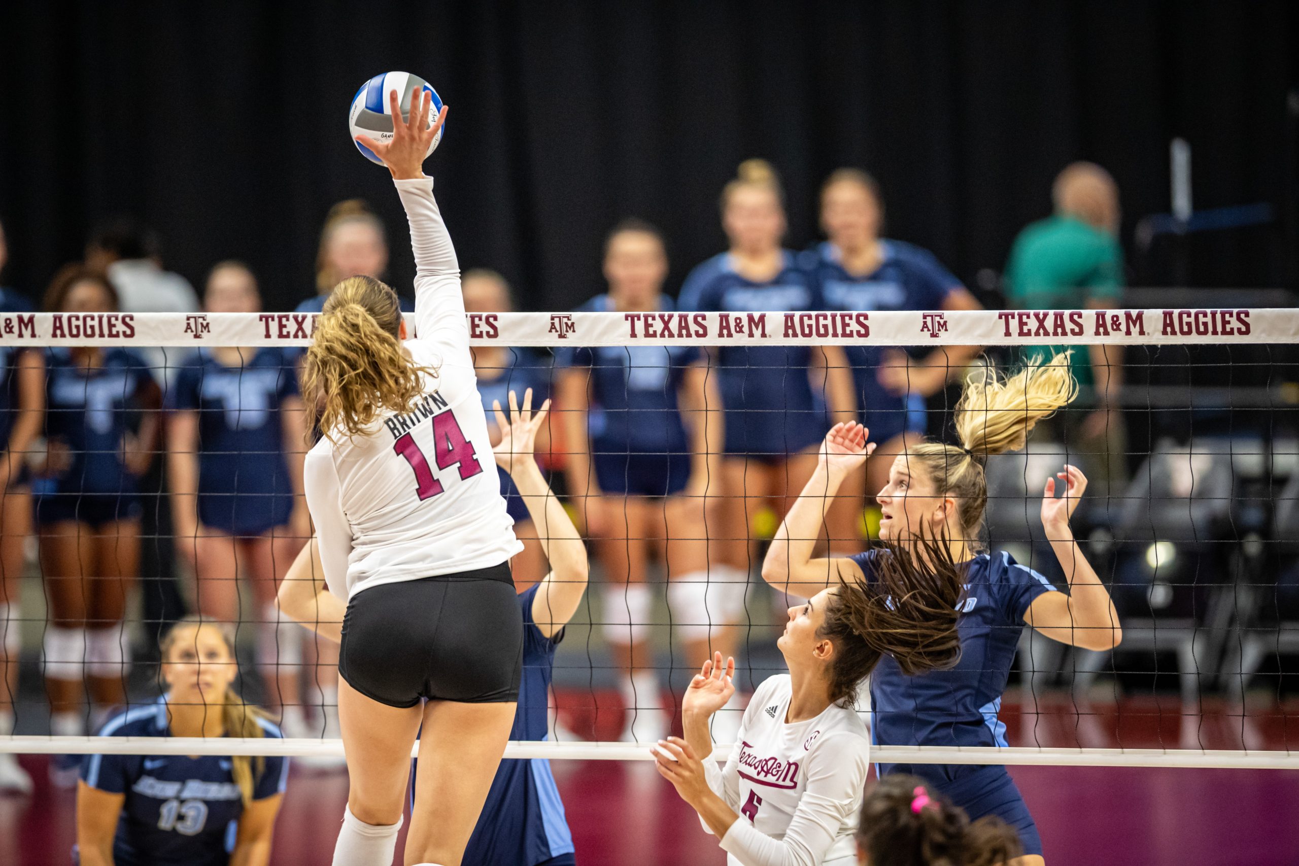 GALLERY: Volleyball vs. San Diego