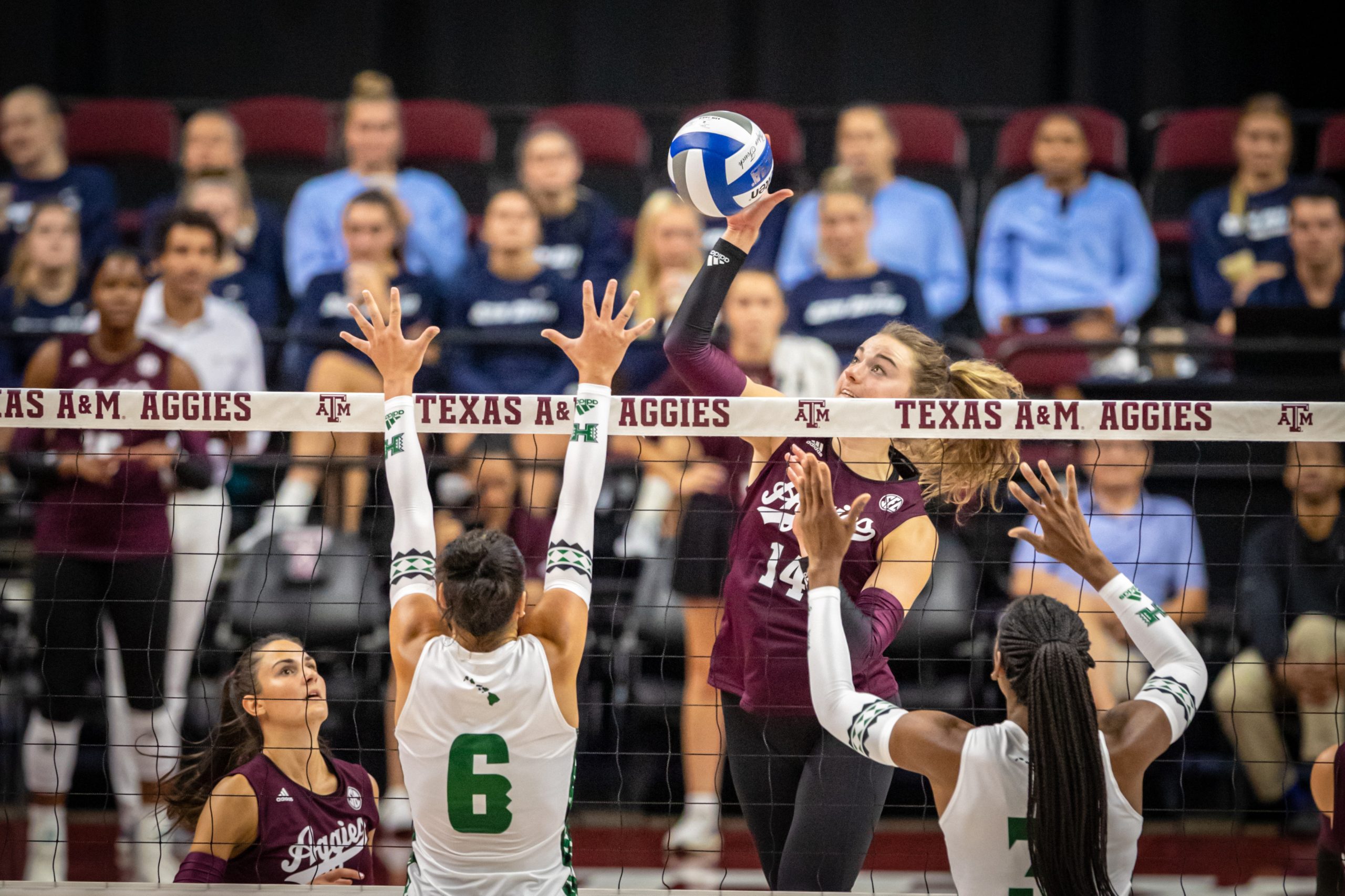 GALLERY%3A+Volleyball+vs.+Hawaii