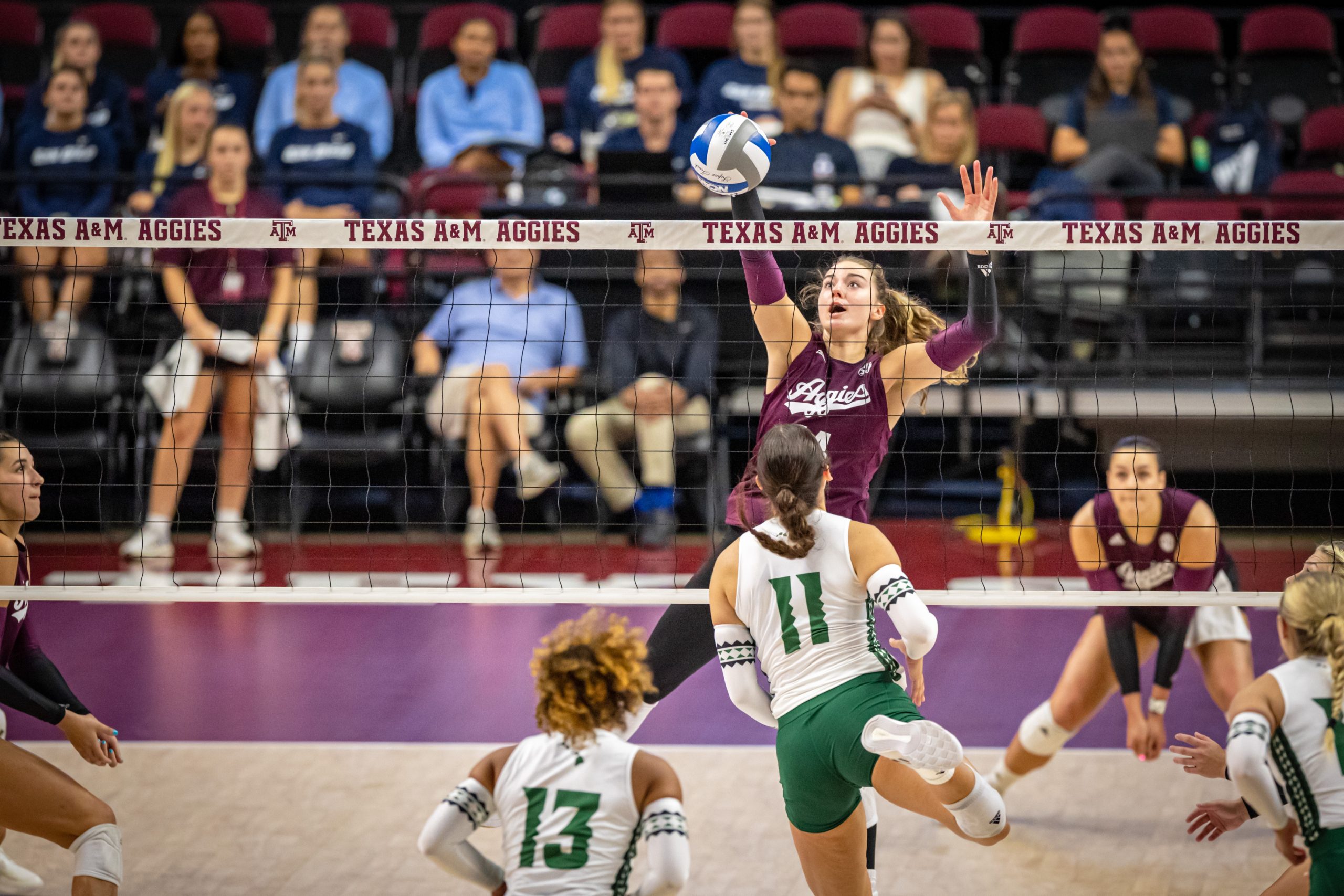 GALLERY%3A+Volleyball+vs.+Hawaii