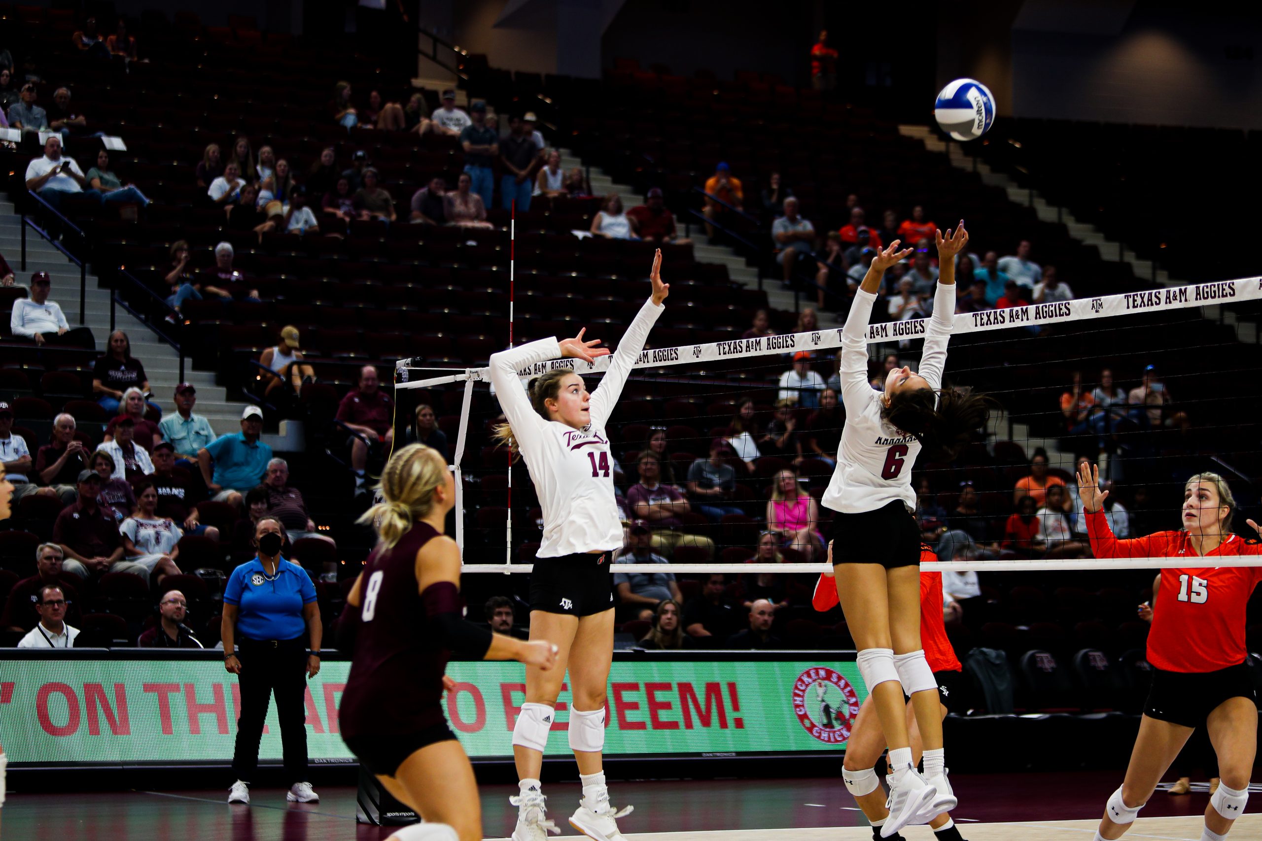 GALLERY: Volleyball vs Sam Houston State.