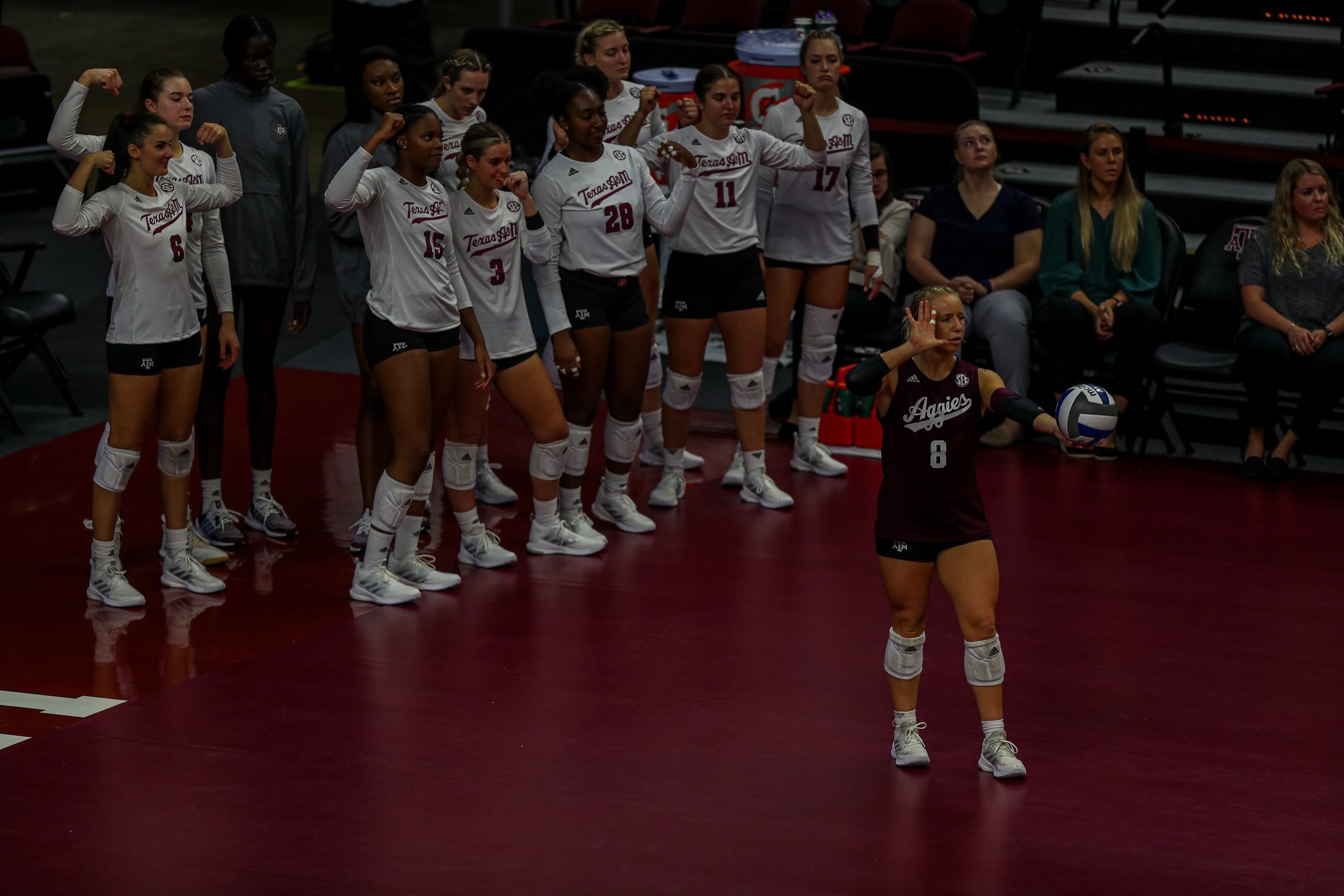 GALLERY: Volleyball vs Sam Houston State.