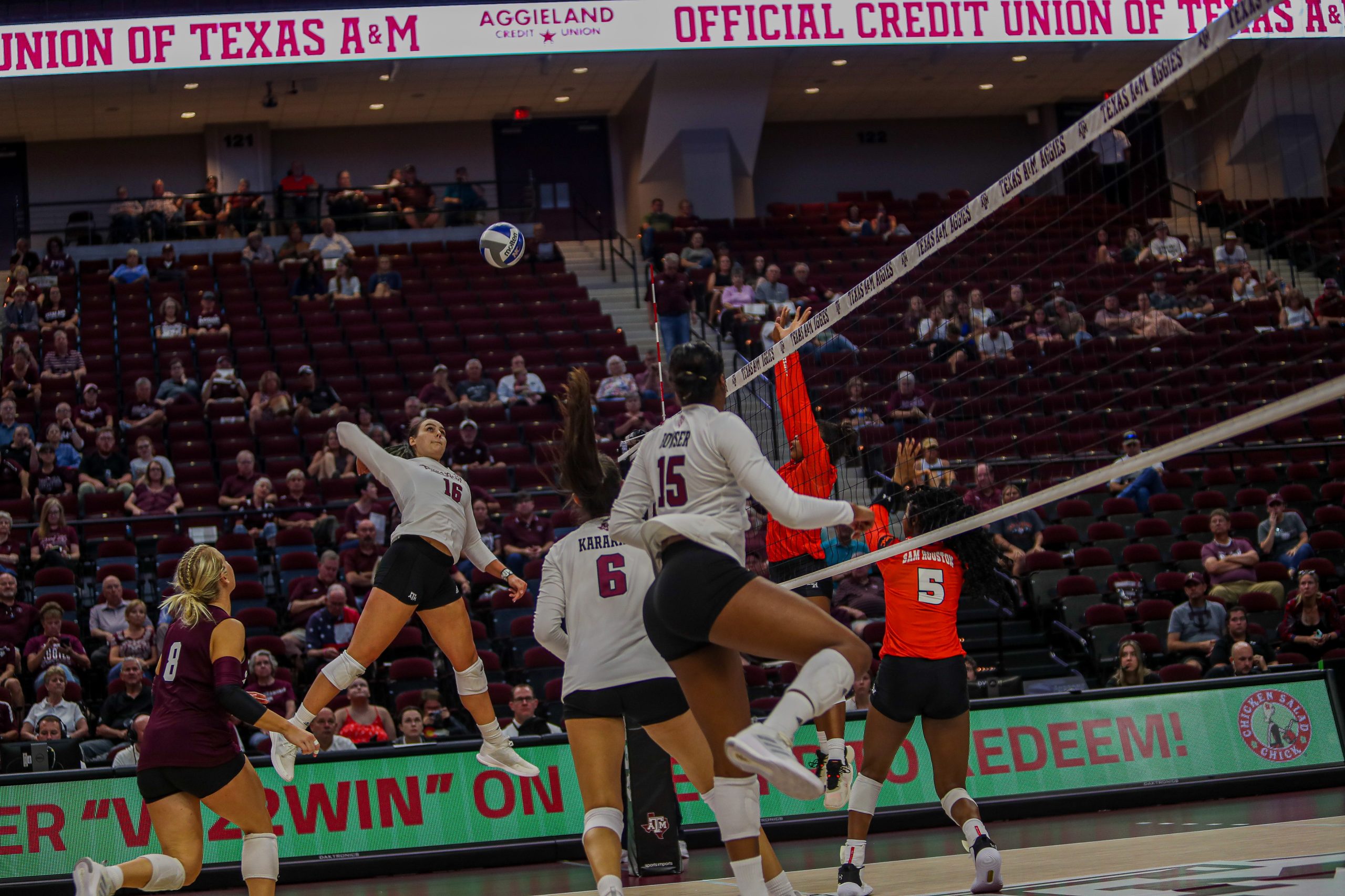 GALLERY: Volleyball vs Sam Houston State.