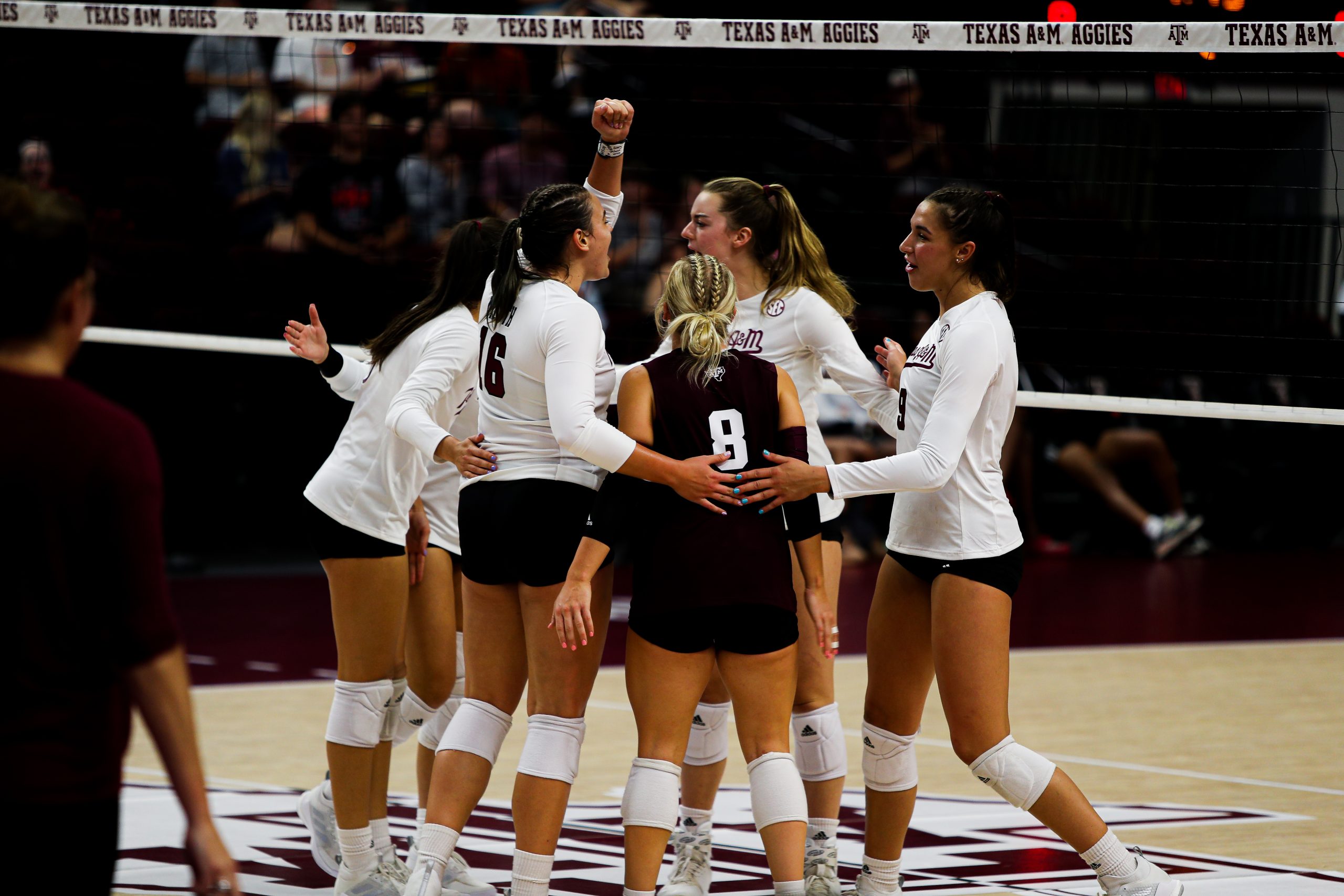 GALLERY: Volleyball vs Sam Houston State.