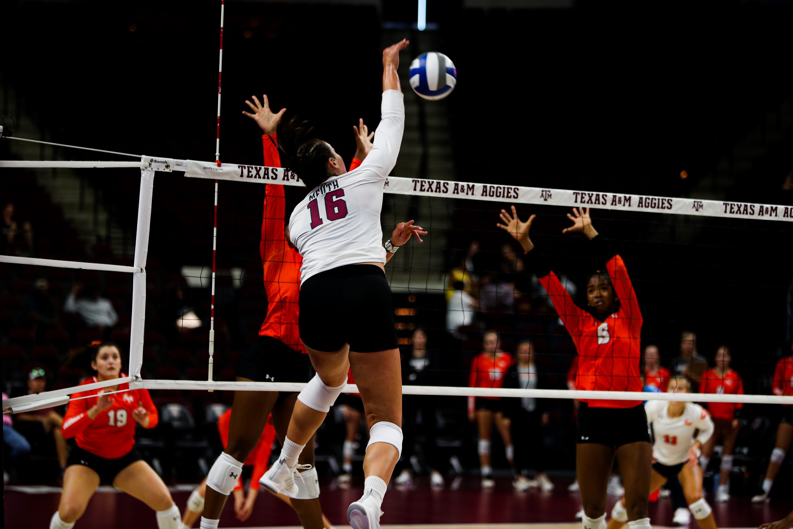 GALLERY: Volleyball vs Sam Houston State.