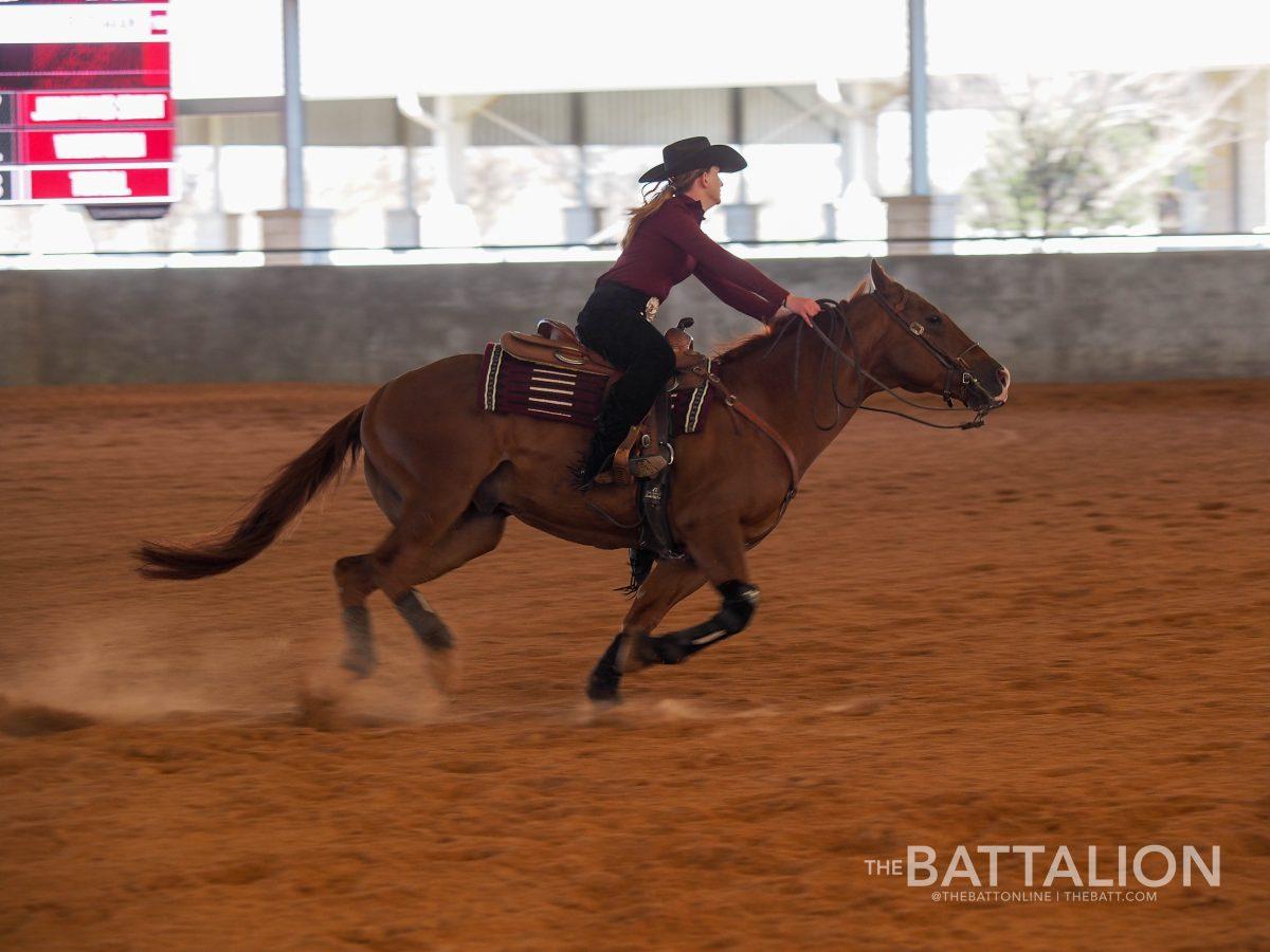 South Carolina sophomore Emilia Reutimann goes full speed on Tank. Reutimann scored a 70.5 on her performance.