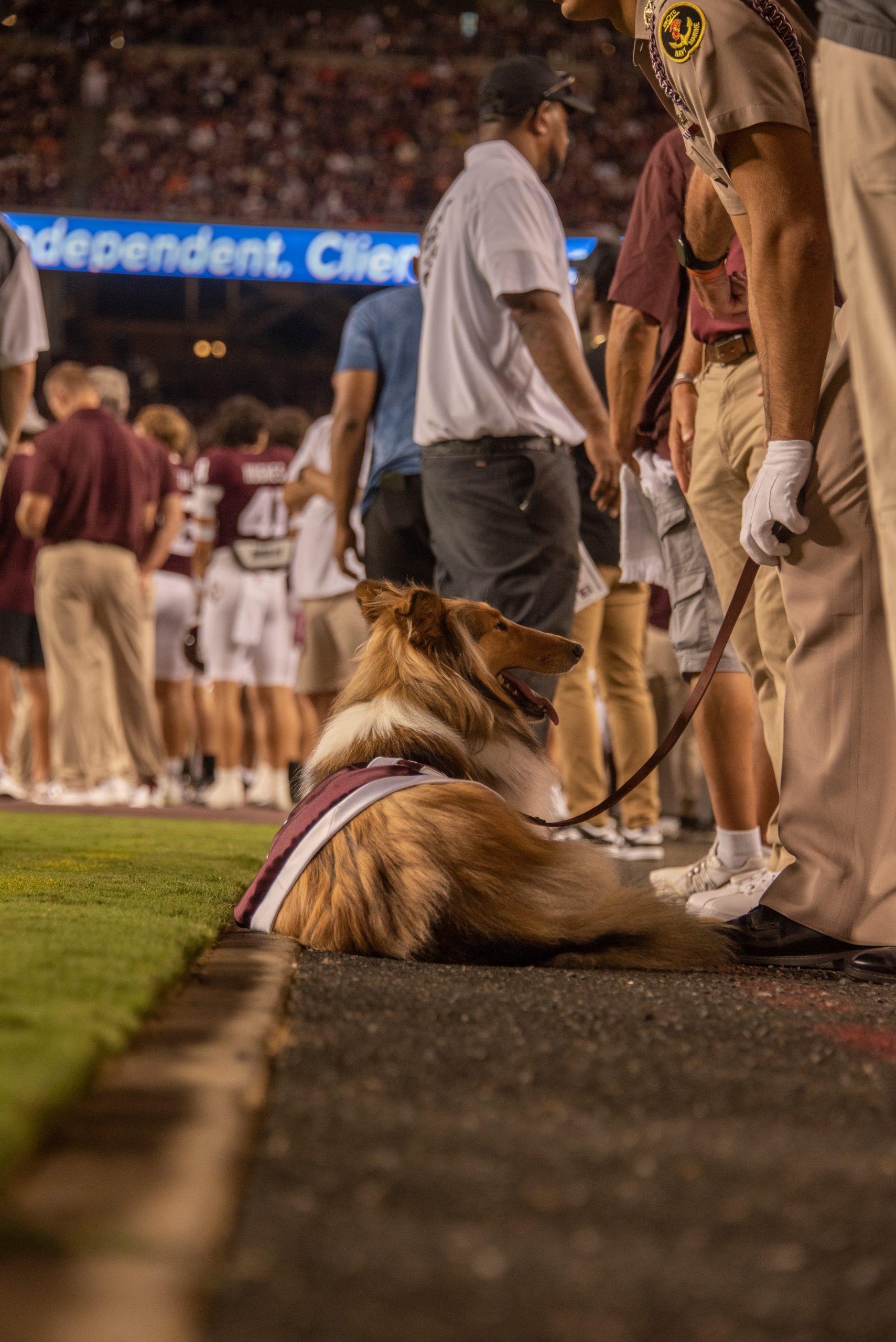 GALLERY: Football vs. Miami