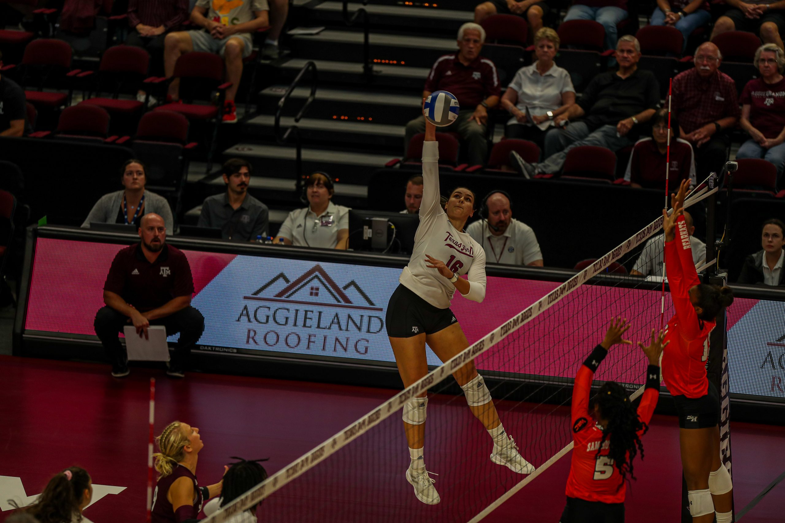 GALLERY: Volleyball vs Sam Houston State.