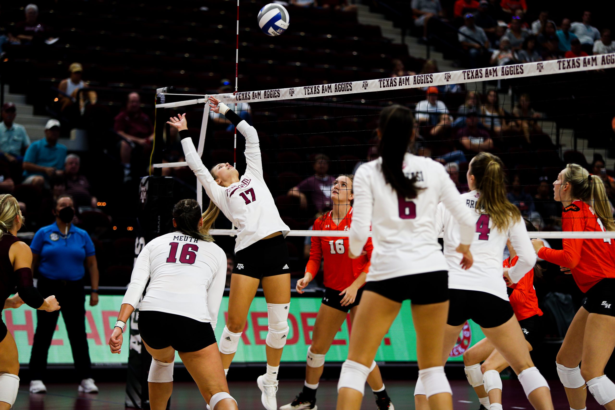 GALLERY: Volleyball vs Sam Houston State.