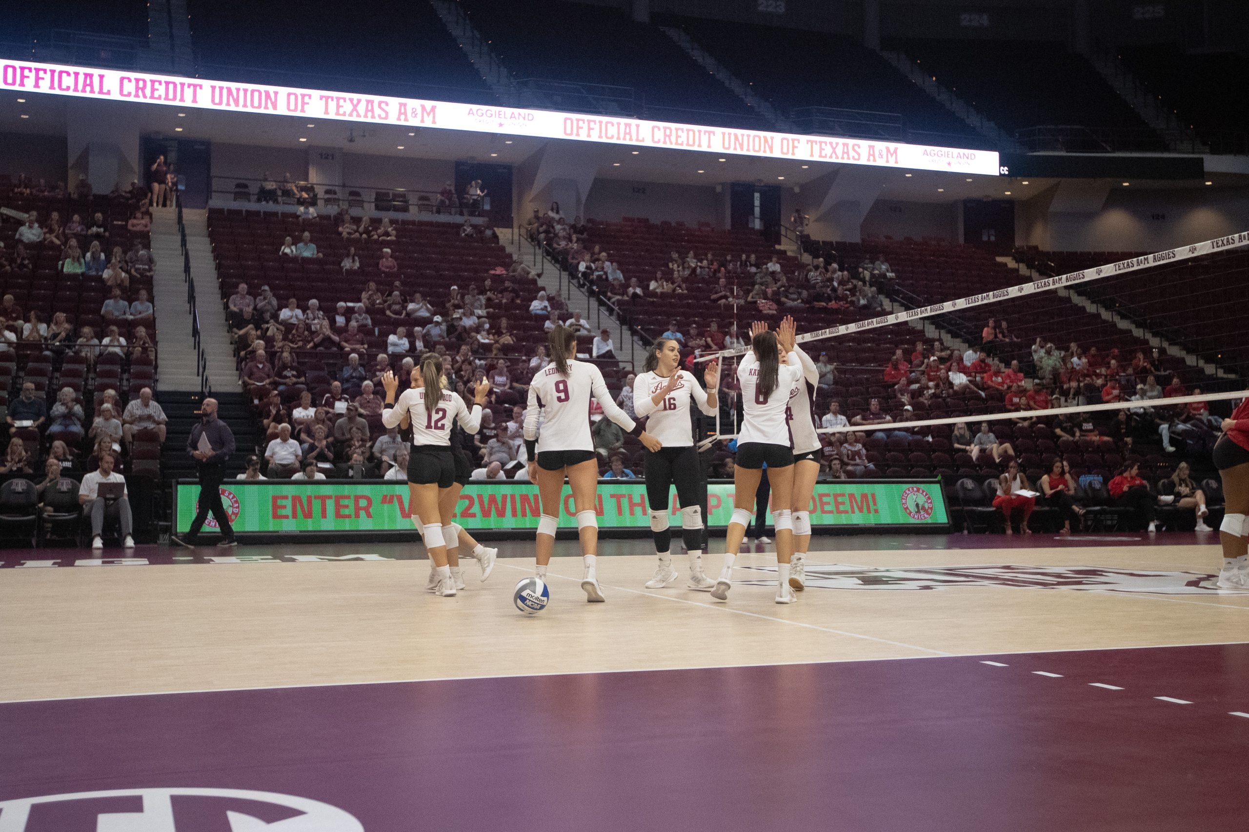 GALLERY%3A+Volleyball+vs.+Louisiana