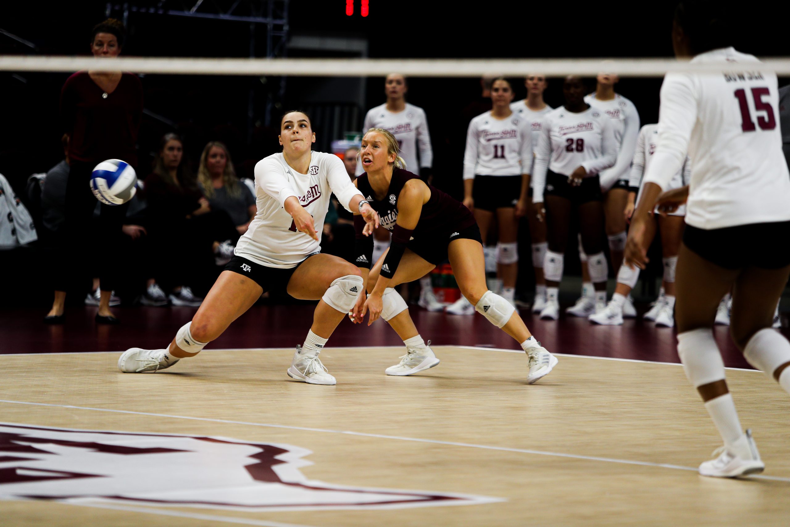 GALLERY: Volleyball vs Sam Houston State.