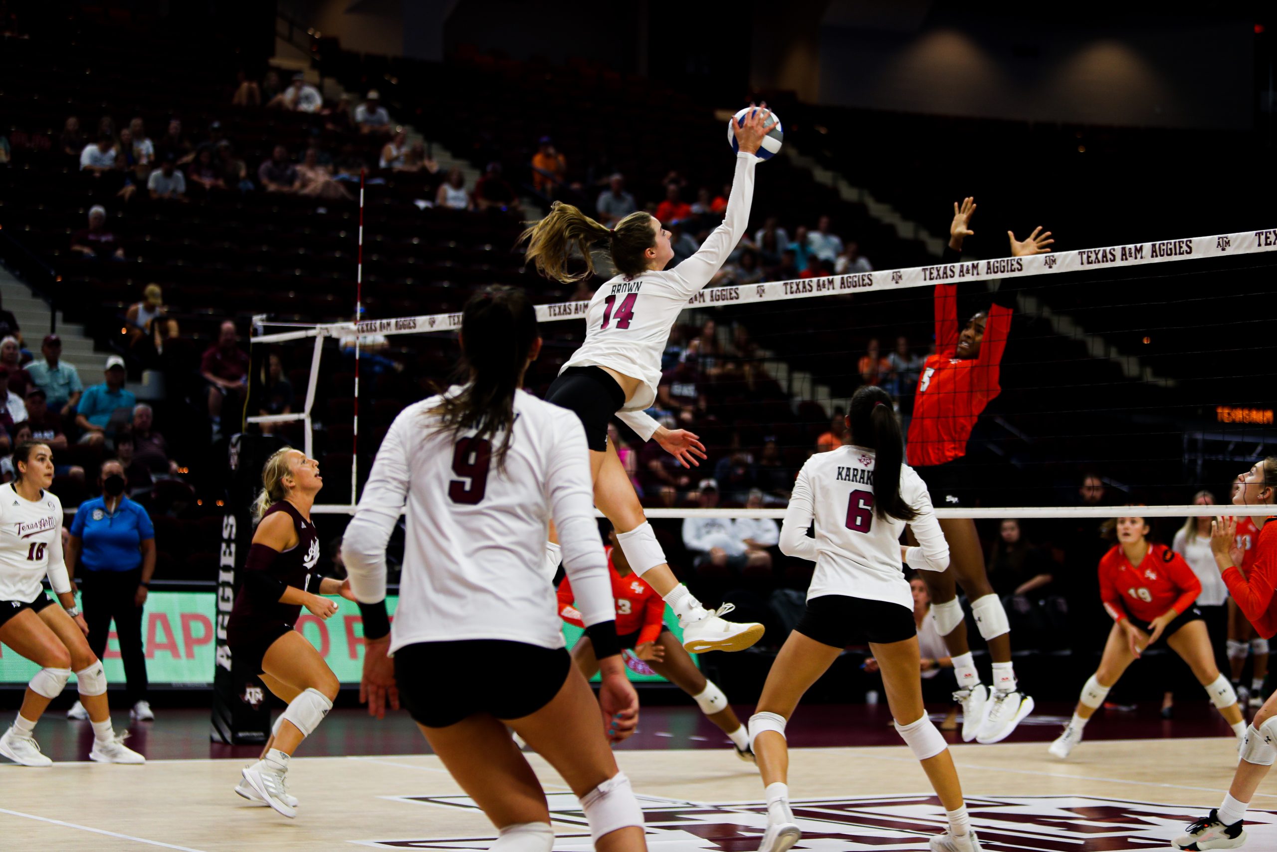 GALLERY: Volleyball vs Sam Houston State.