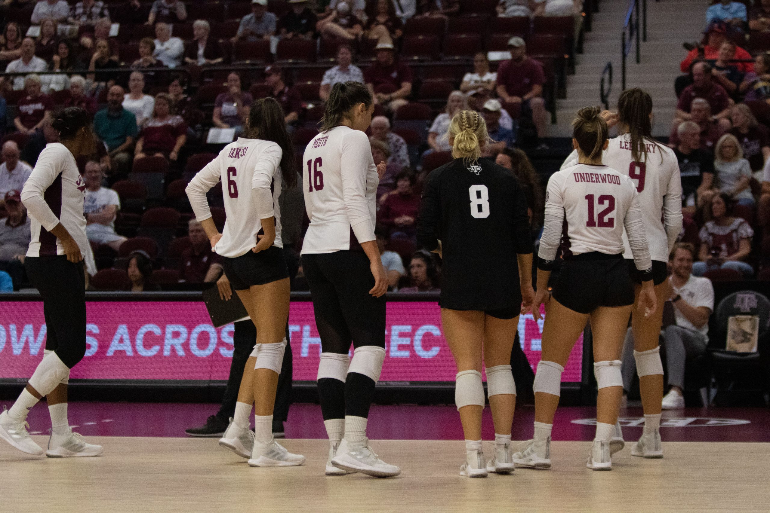 GALLERY%3A+Volleyball+vs.+Louisiana