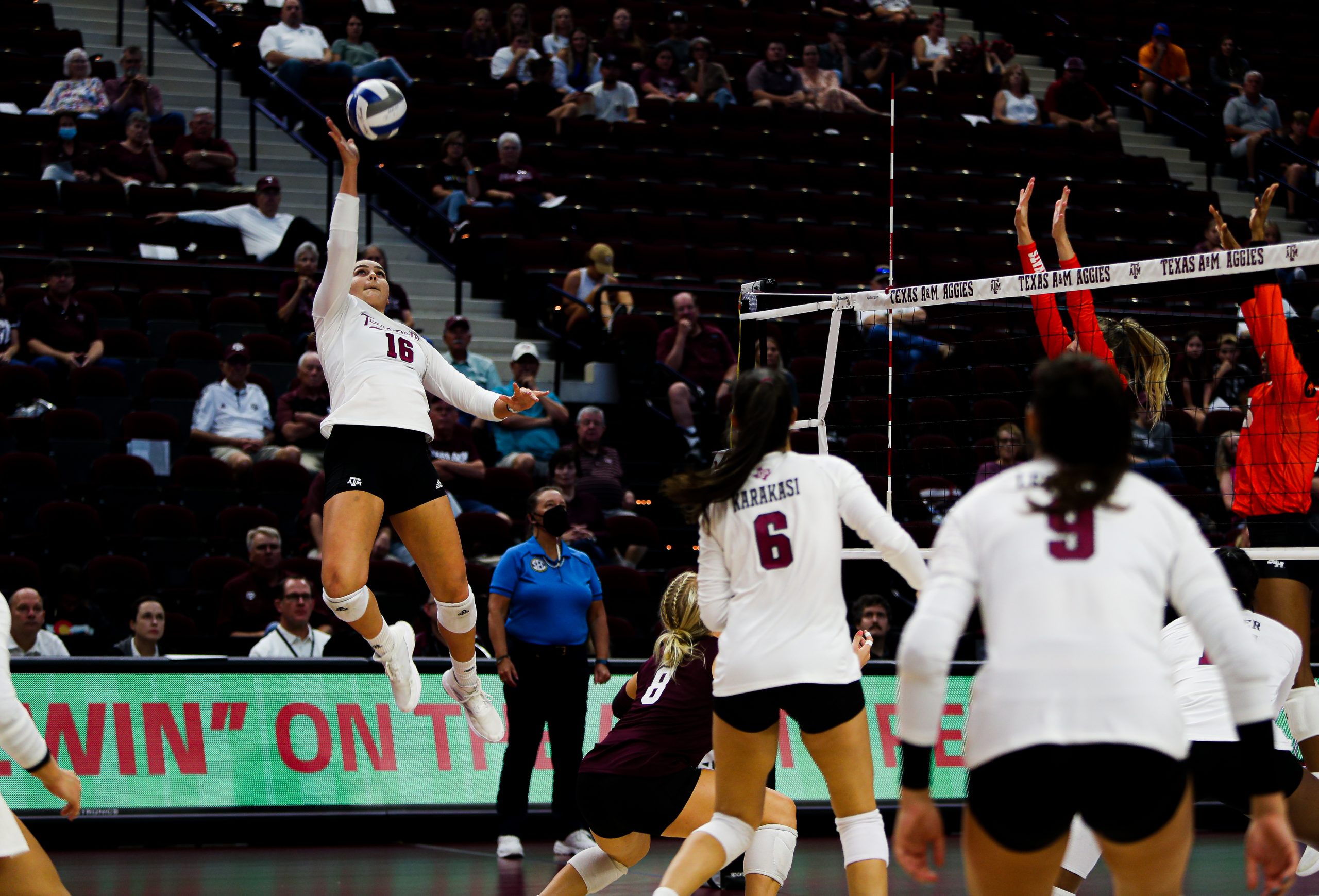 GALLERY: Volleyball vs Sam Houston State.