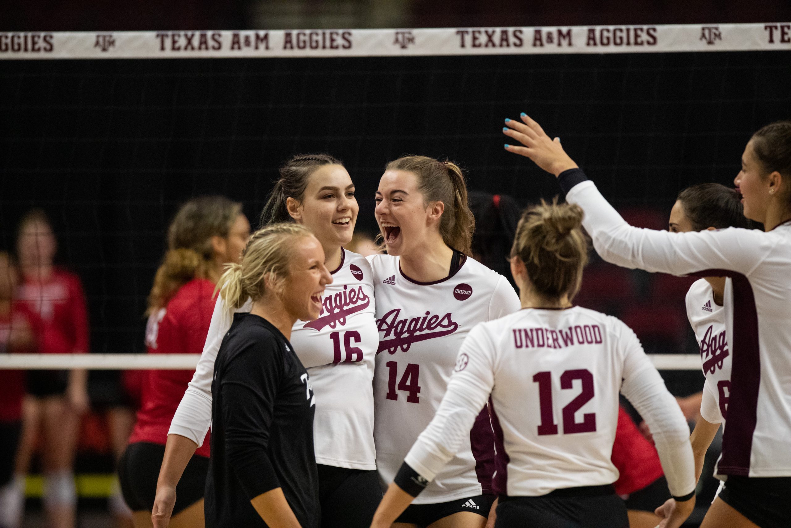 GALLERY%3A+Volleyball+vs.+Louisiana