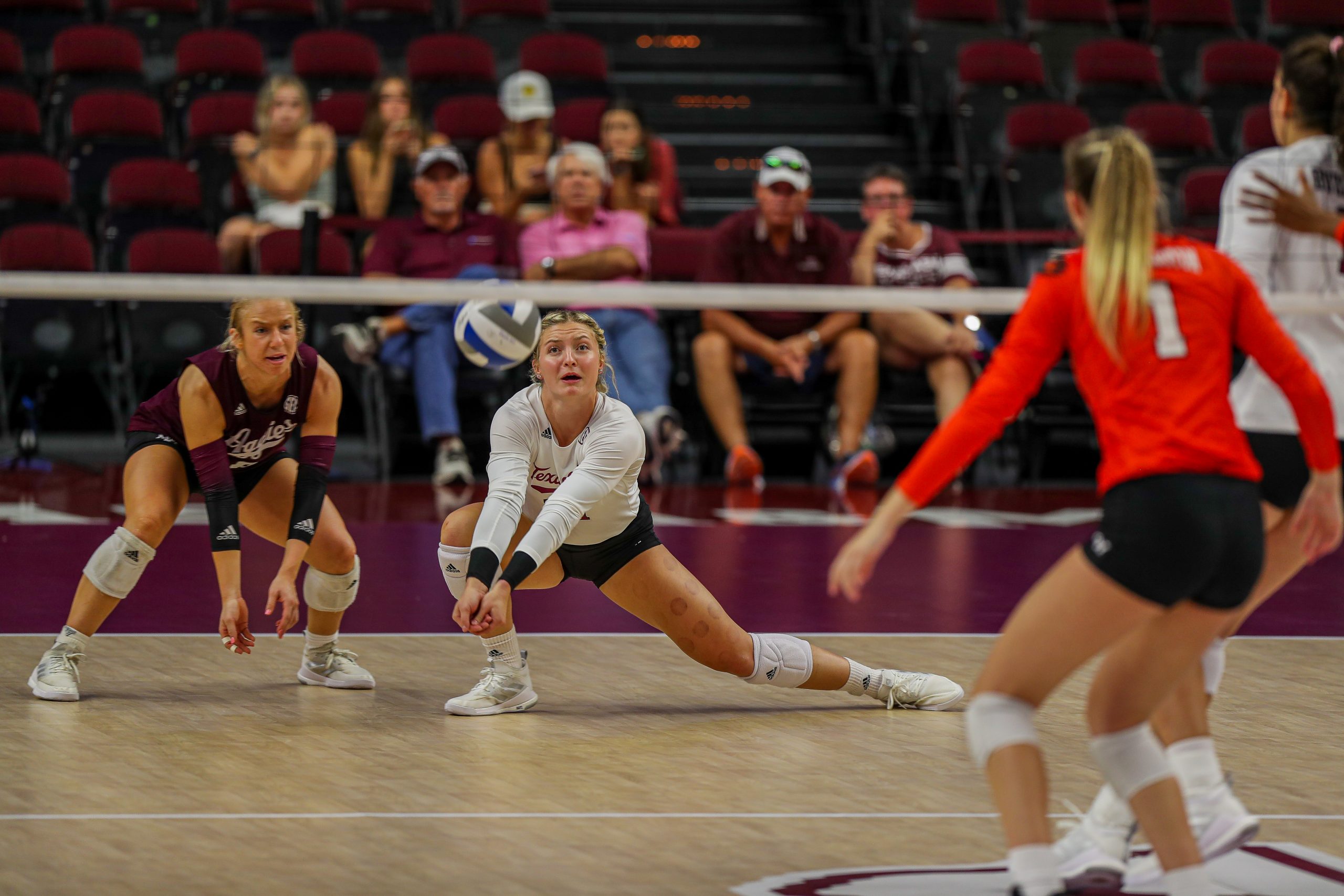 GALLERY: Volleyball vs Sam Houston State.