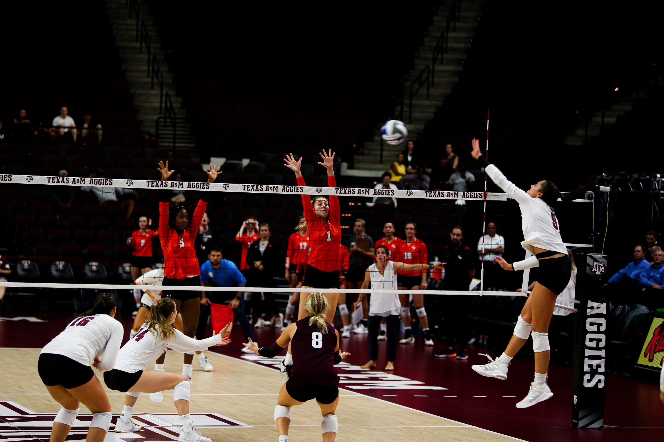 GALLERY: Volleyball vs Sam Houston State.