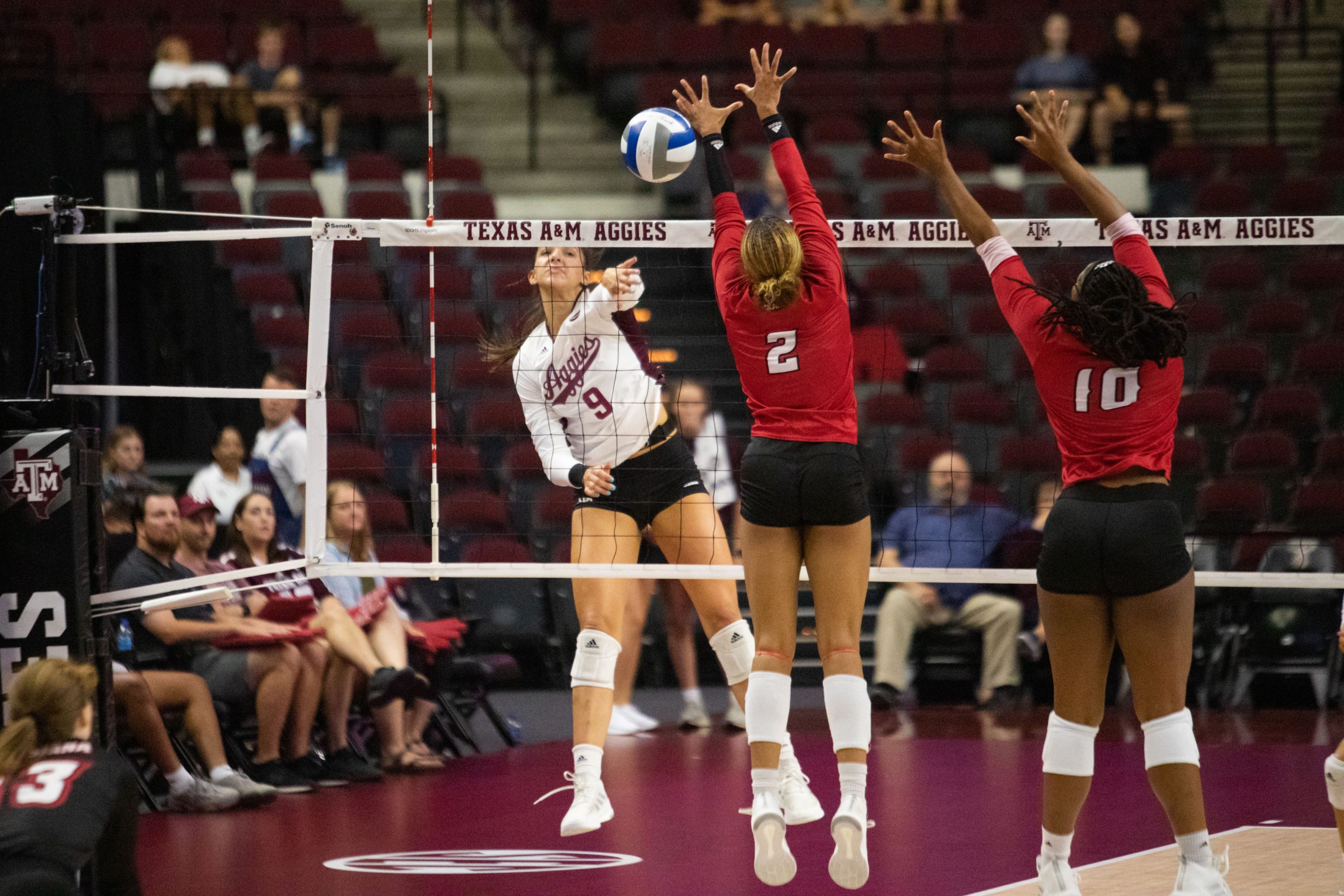 GALLERY%3A+Volleyball+vs.+Louisiana