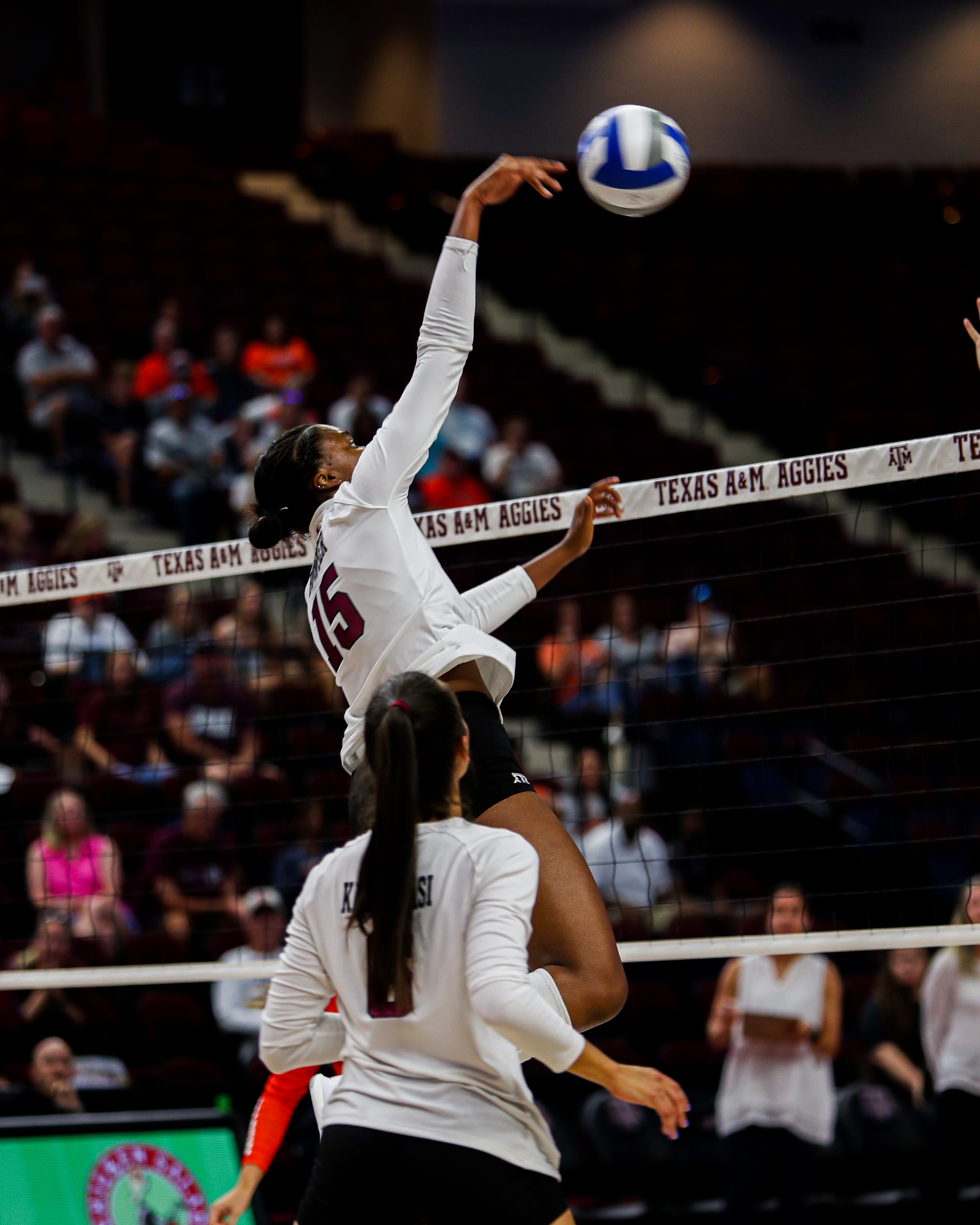 GALLERY: Volleyball vs Sam Houston State.