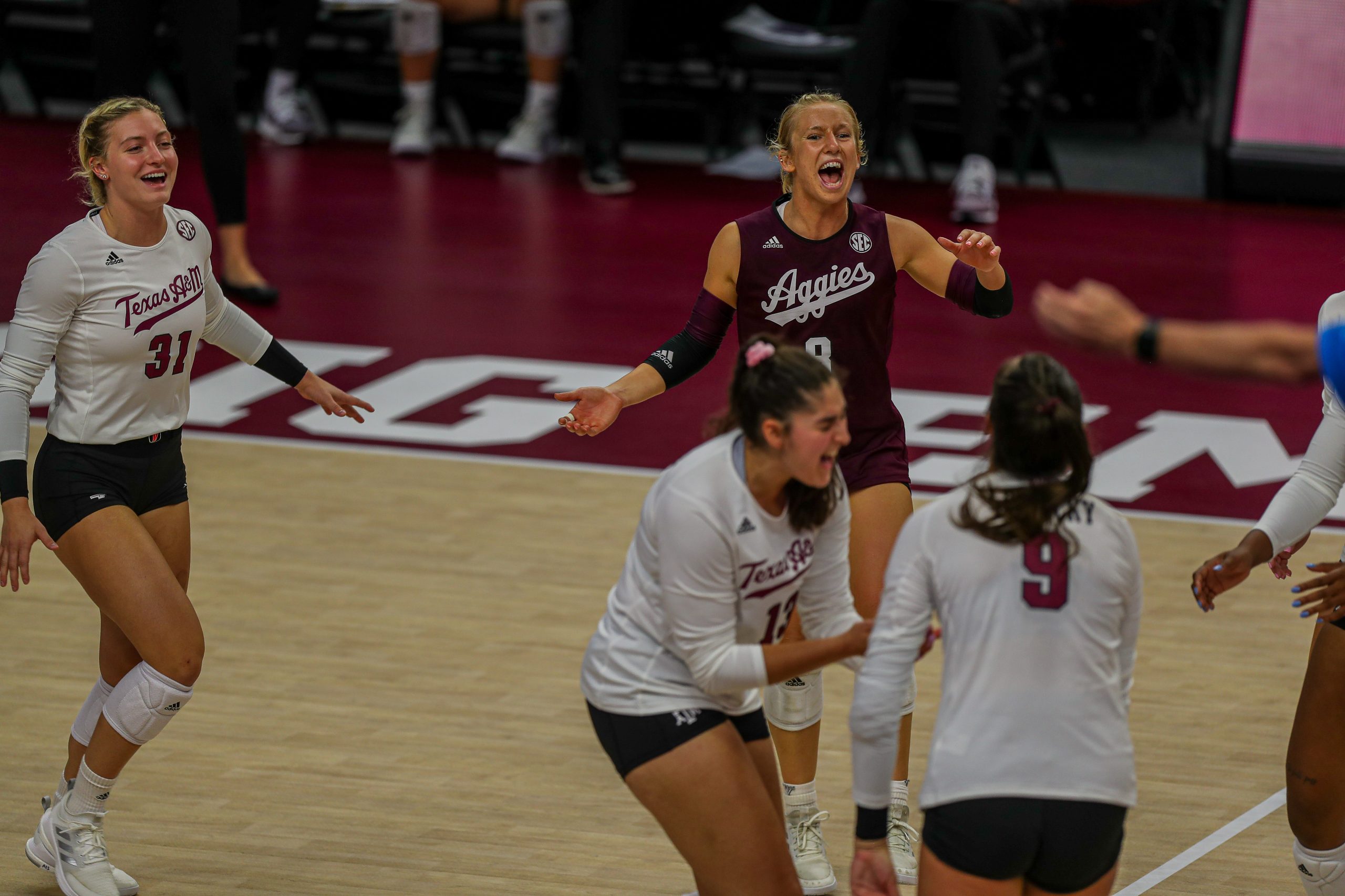 GALLERY: Volleyball vs Sam Houston State.