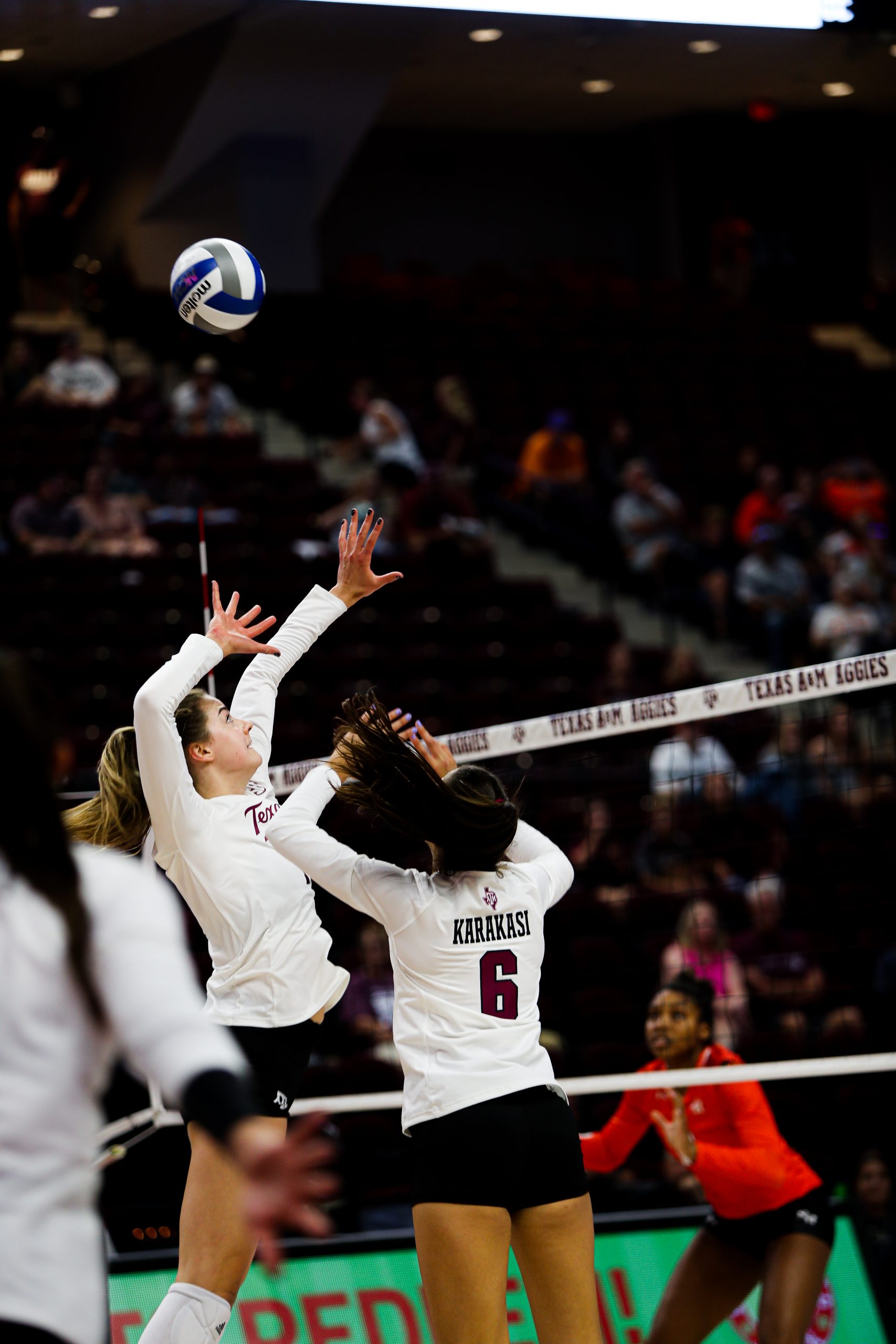 GALLERY: Volleyball vs Sam Houston State.