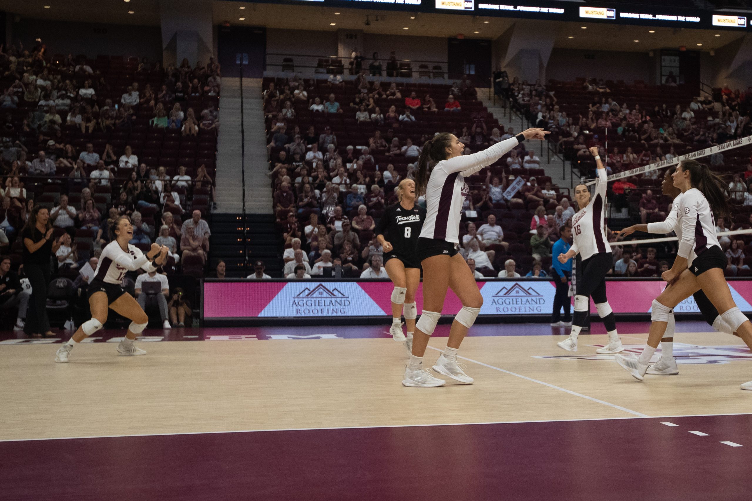 GALLERY%3A+Volleyball+vs.+Louisiana