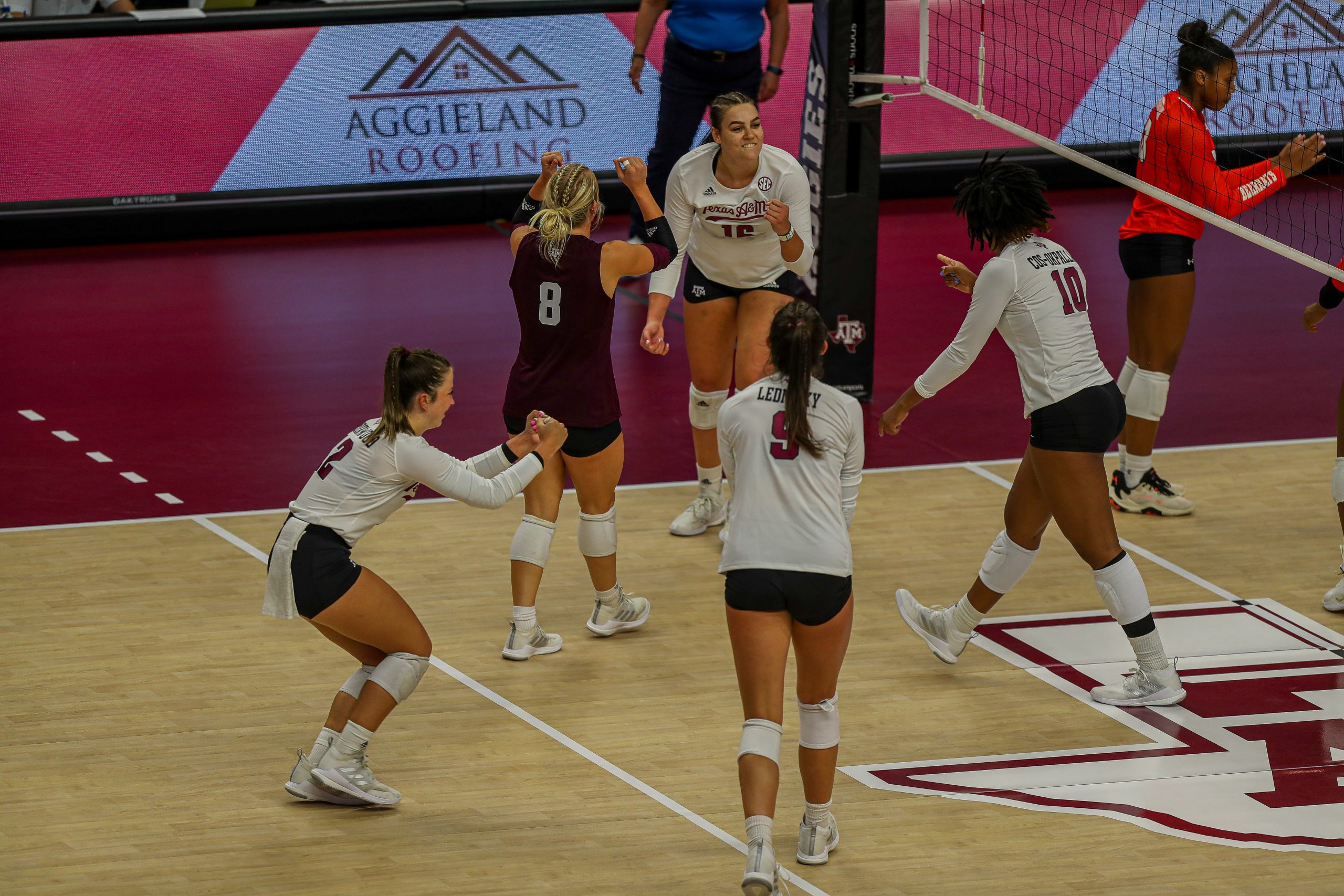 GALLERY: Volleyball vs Sam Houston State.