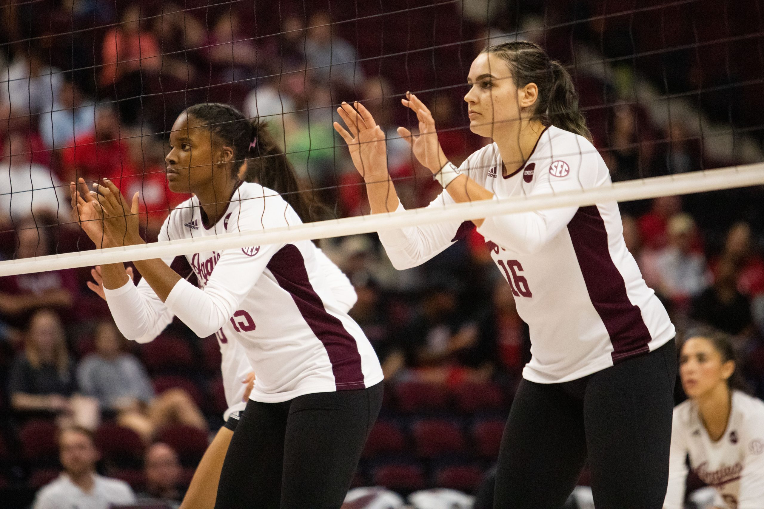 GALLERY%3A+Volleyball+vs.+Louisiana