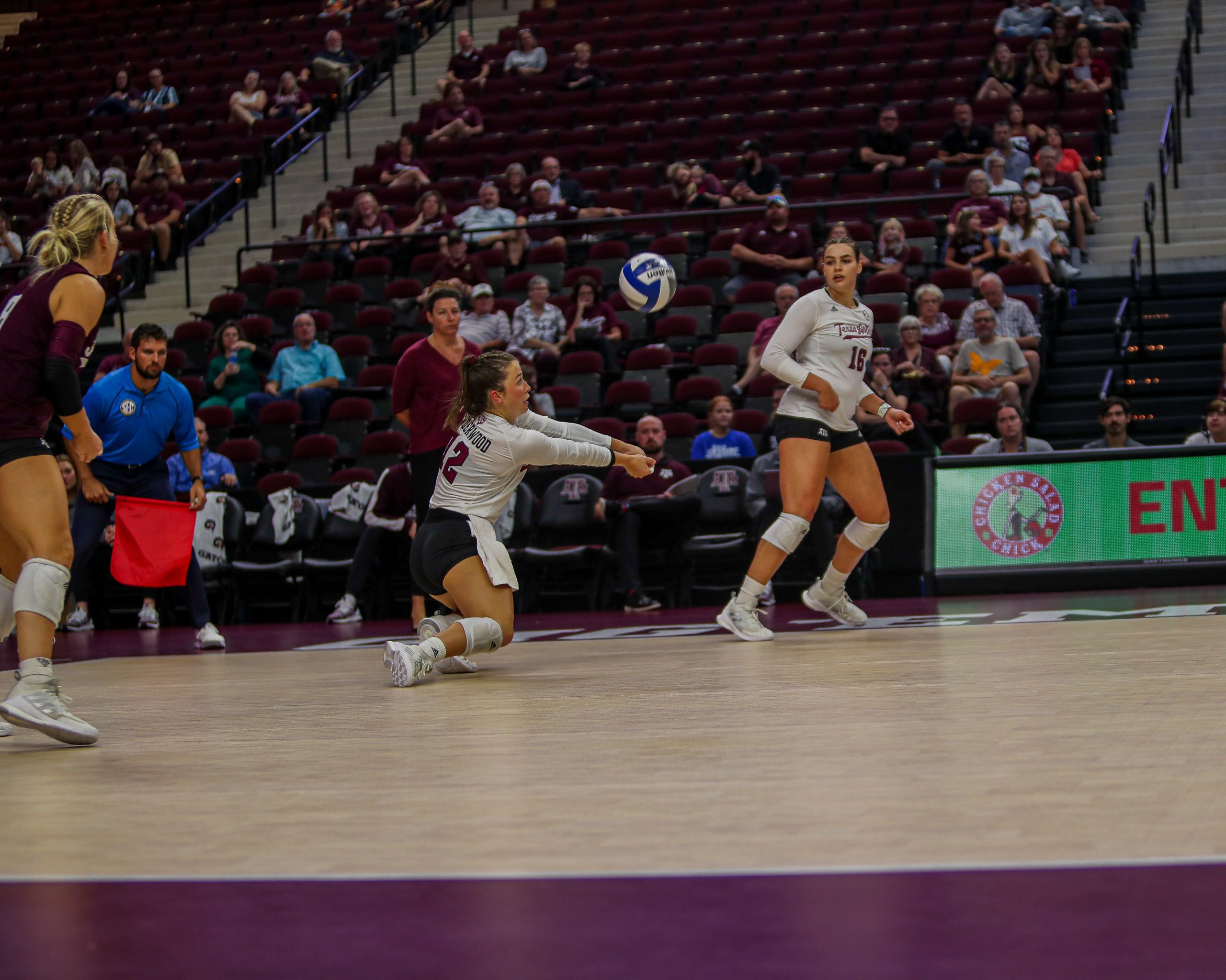 GALLERY: Volleyball vs Sam Houston State.