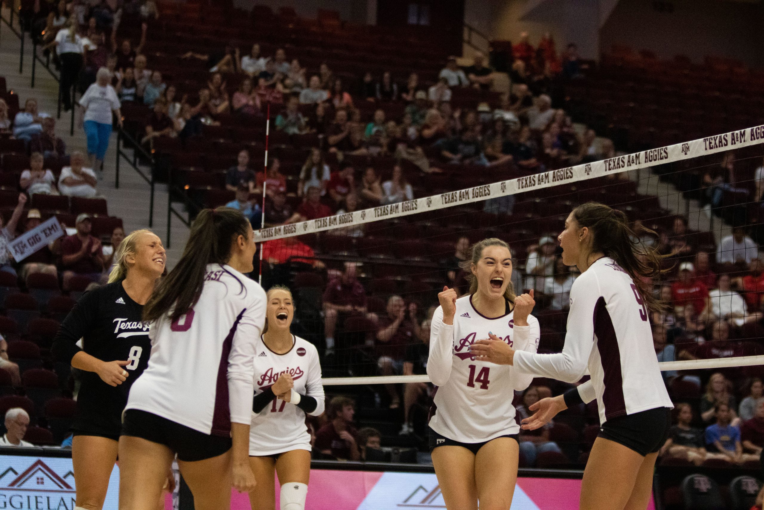 GALLERY%3A+Volleyball+vs.+Louisiana