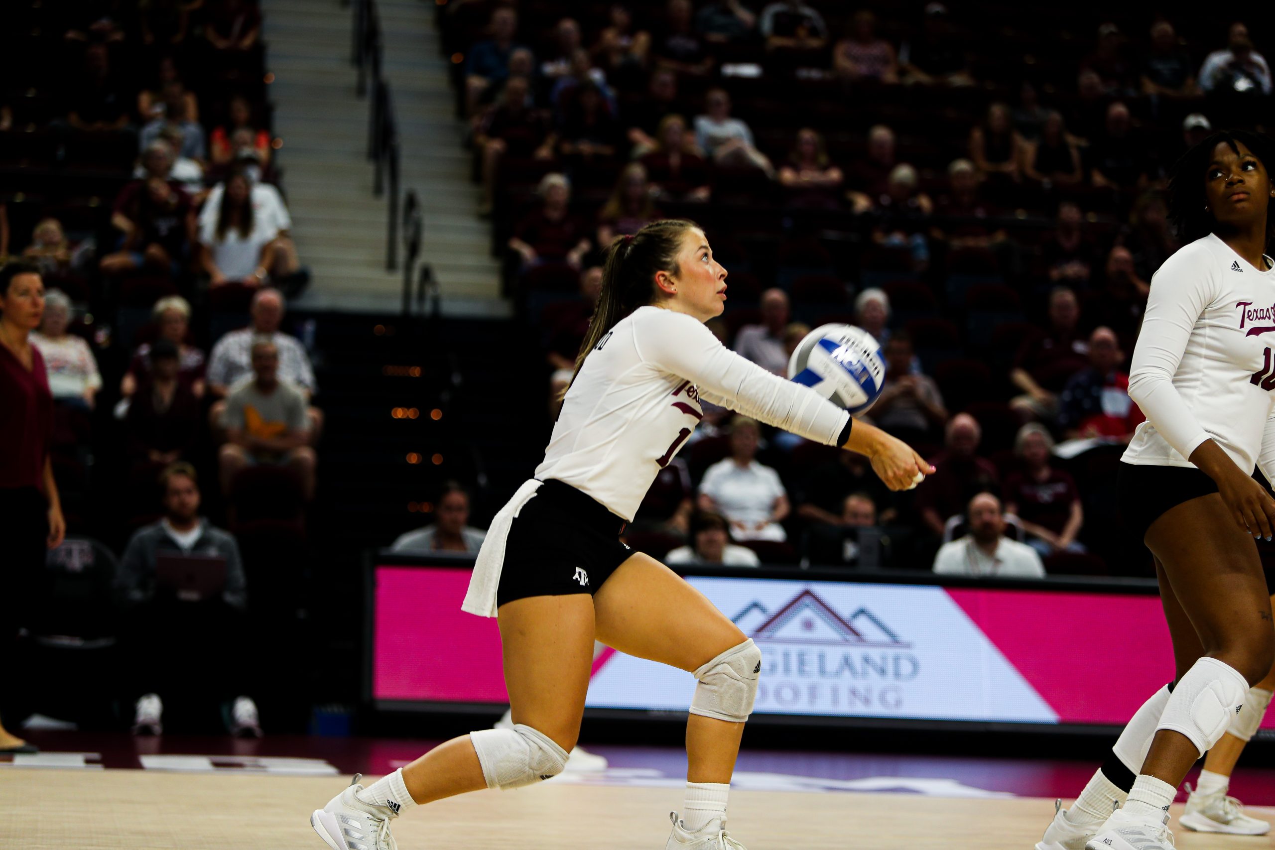 GALLERY: Volleyball vs Sam Houston State.