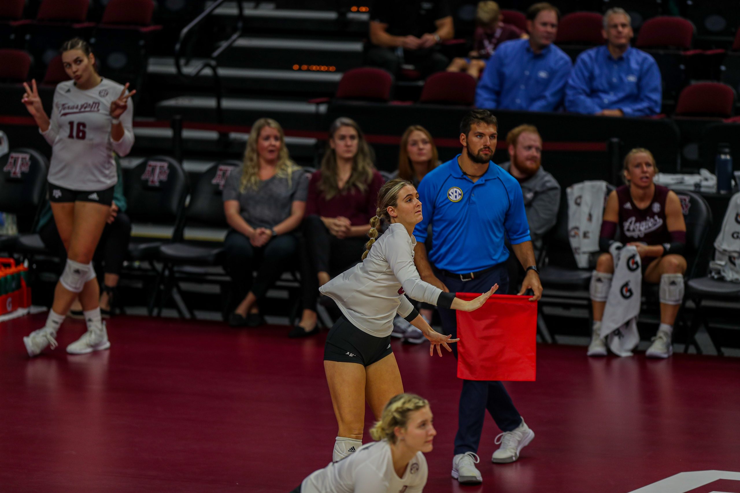 GALLERY: Volleyball vs Sam Houston State.