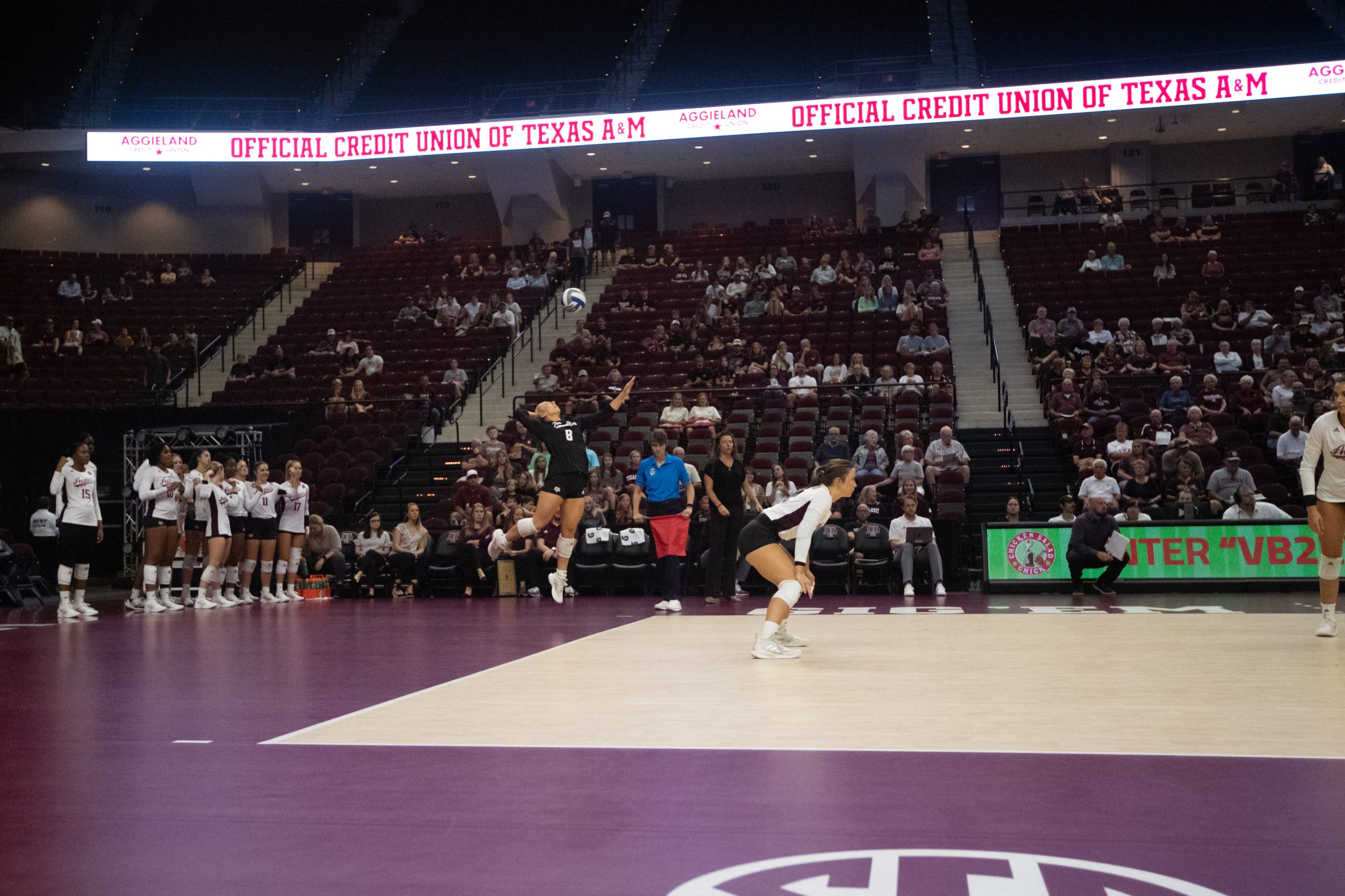 GALLERY%3A+Volleyball+vs.+Louisiana