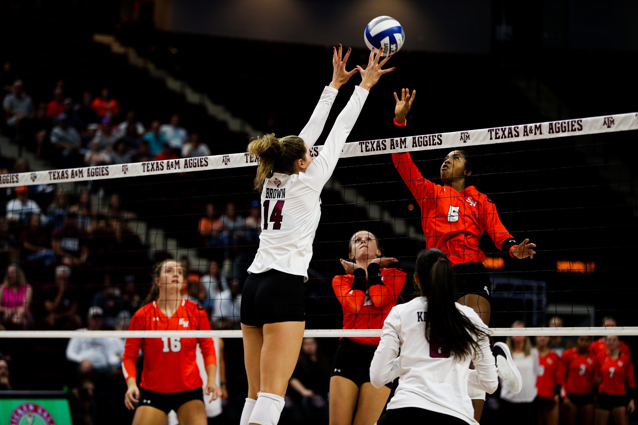 GALLERY: Volleyball vs Sam Houston State.