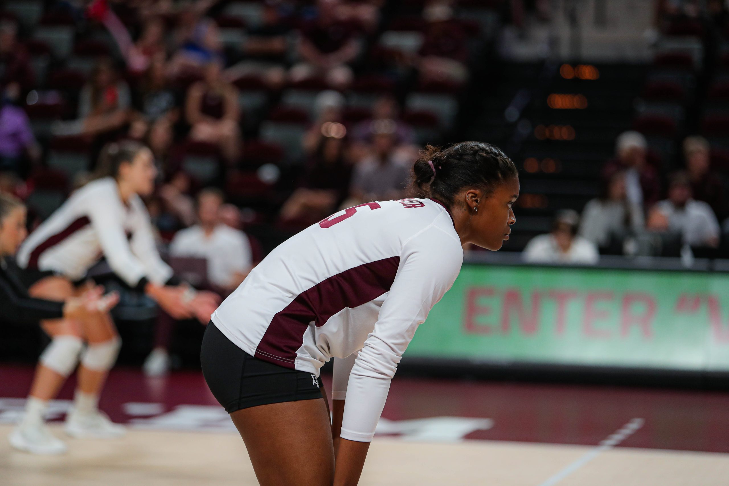 GALLERY: Volleyball vs. Tennessee