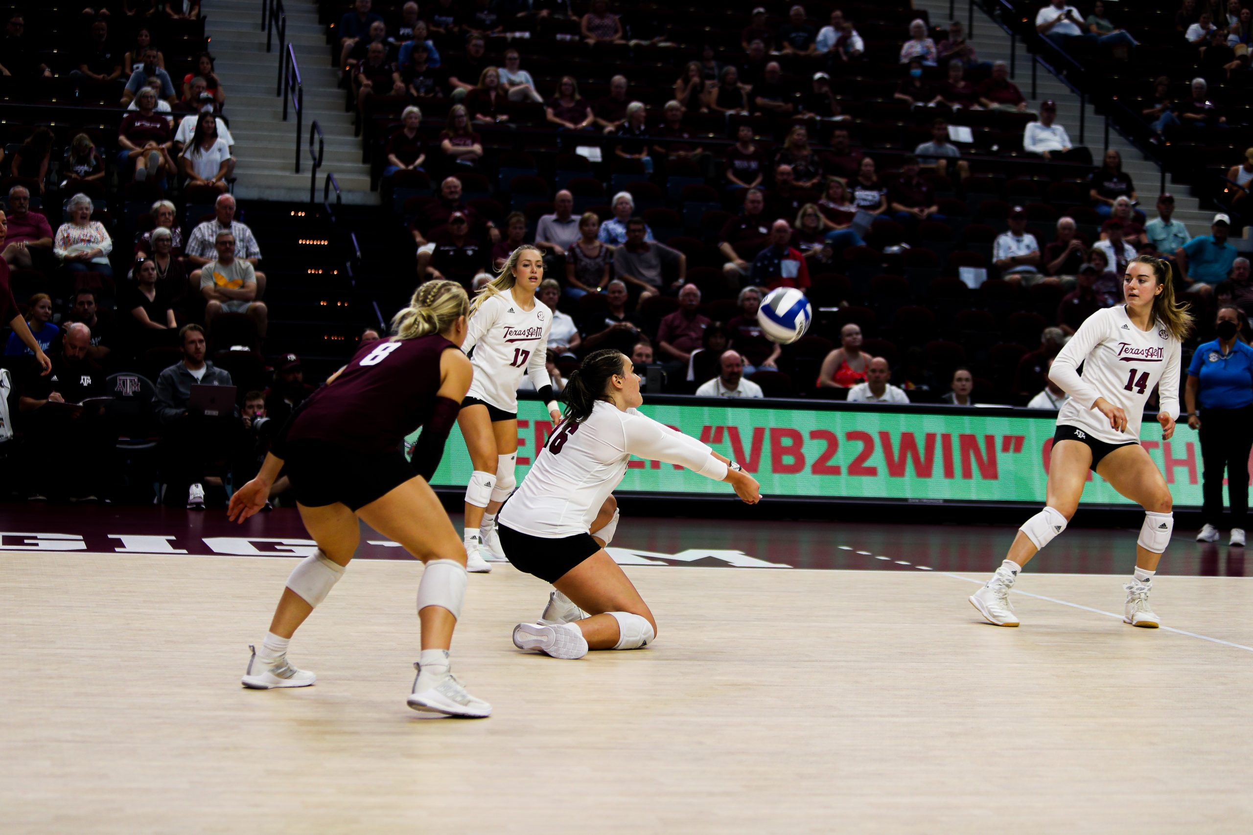 GALLERY: Volleyball vs Sam Houston State.