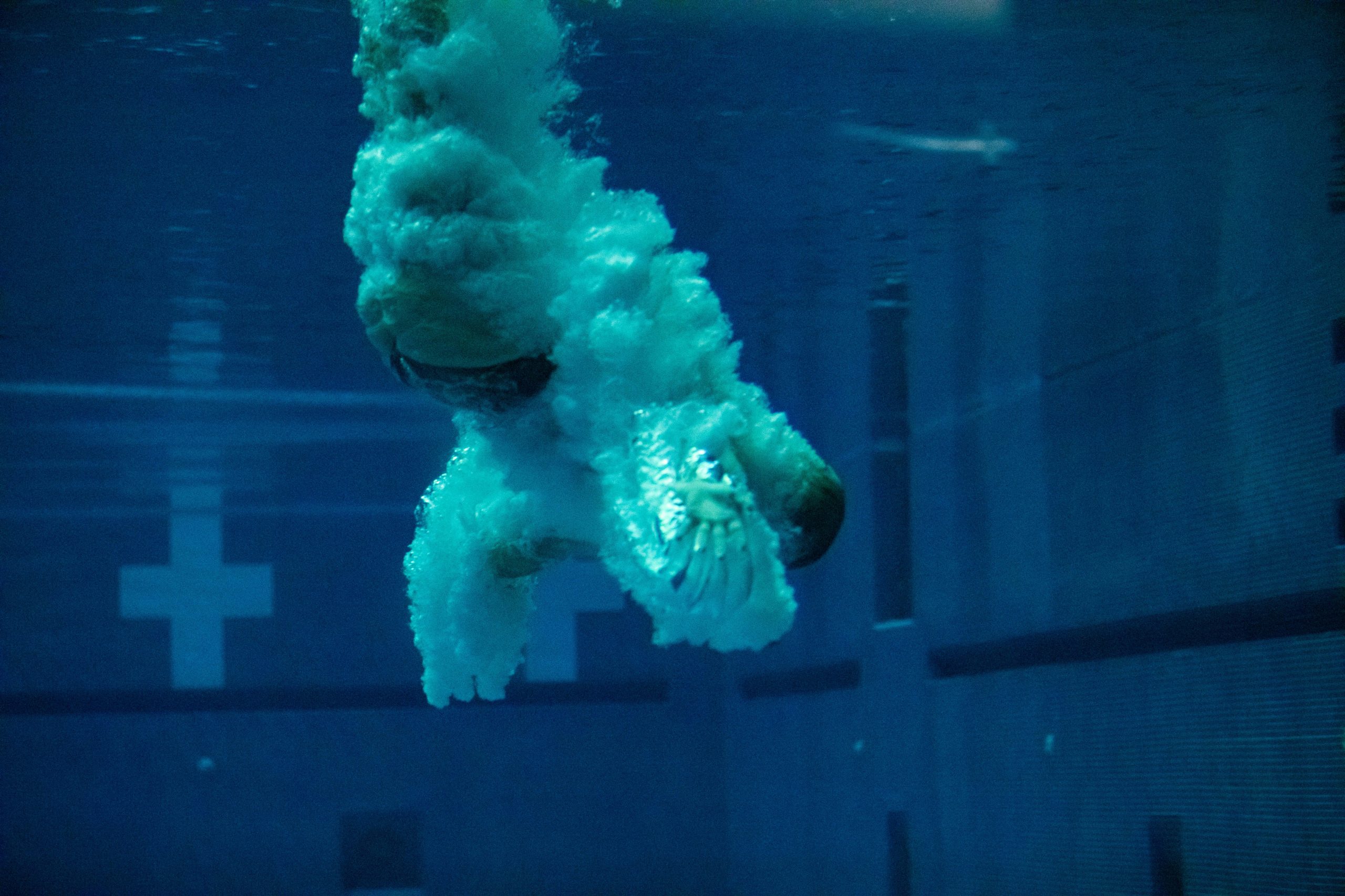 Swimming+%26+Diving+vs+Houston