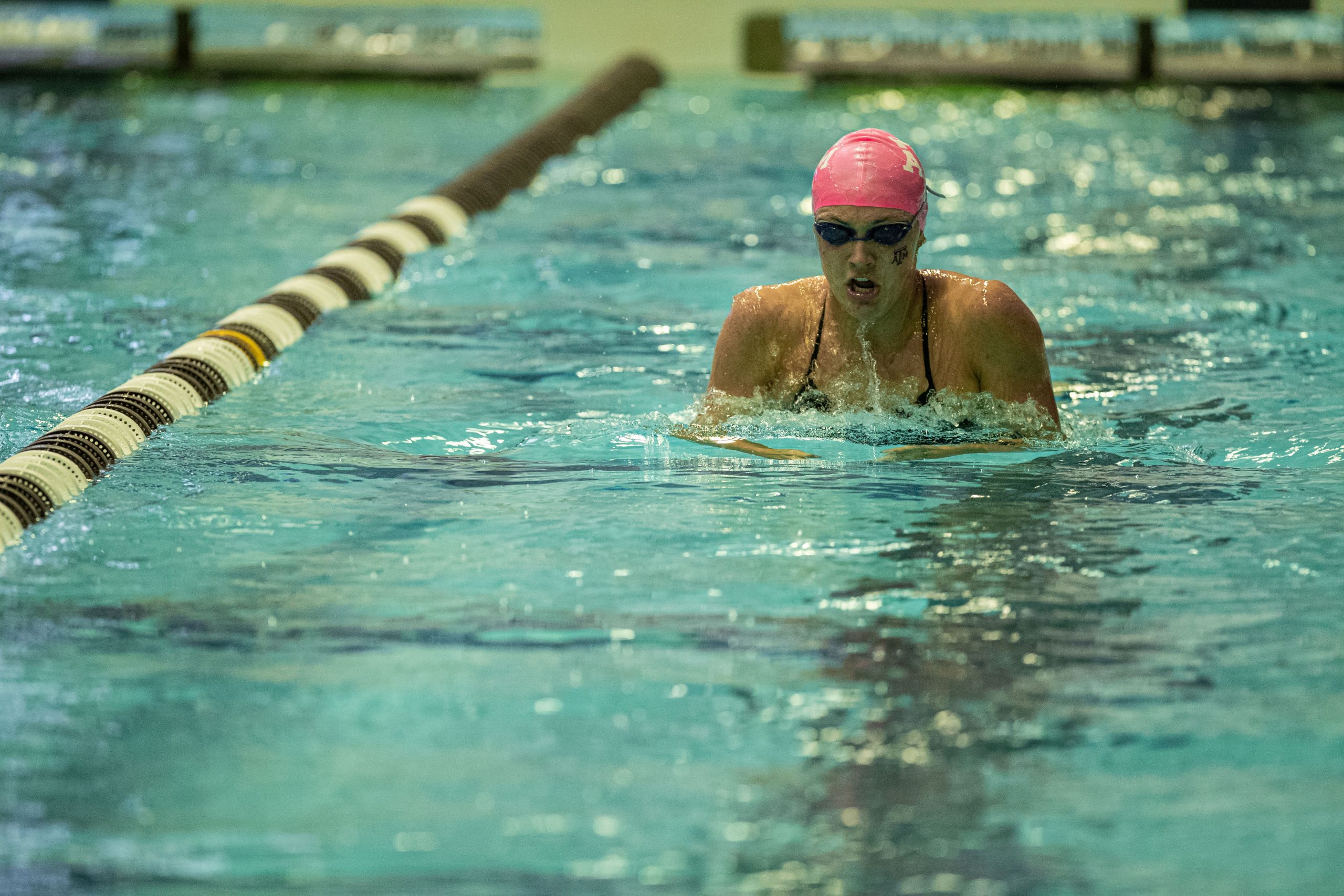 Swimming & Diving vs Houston