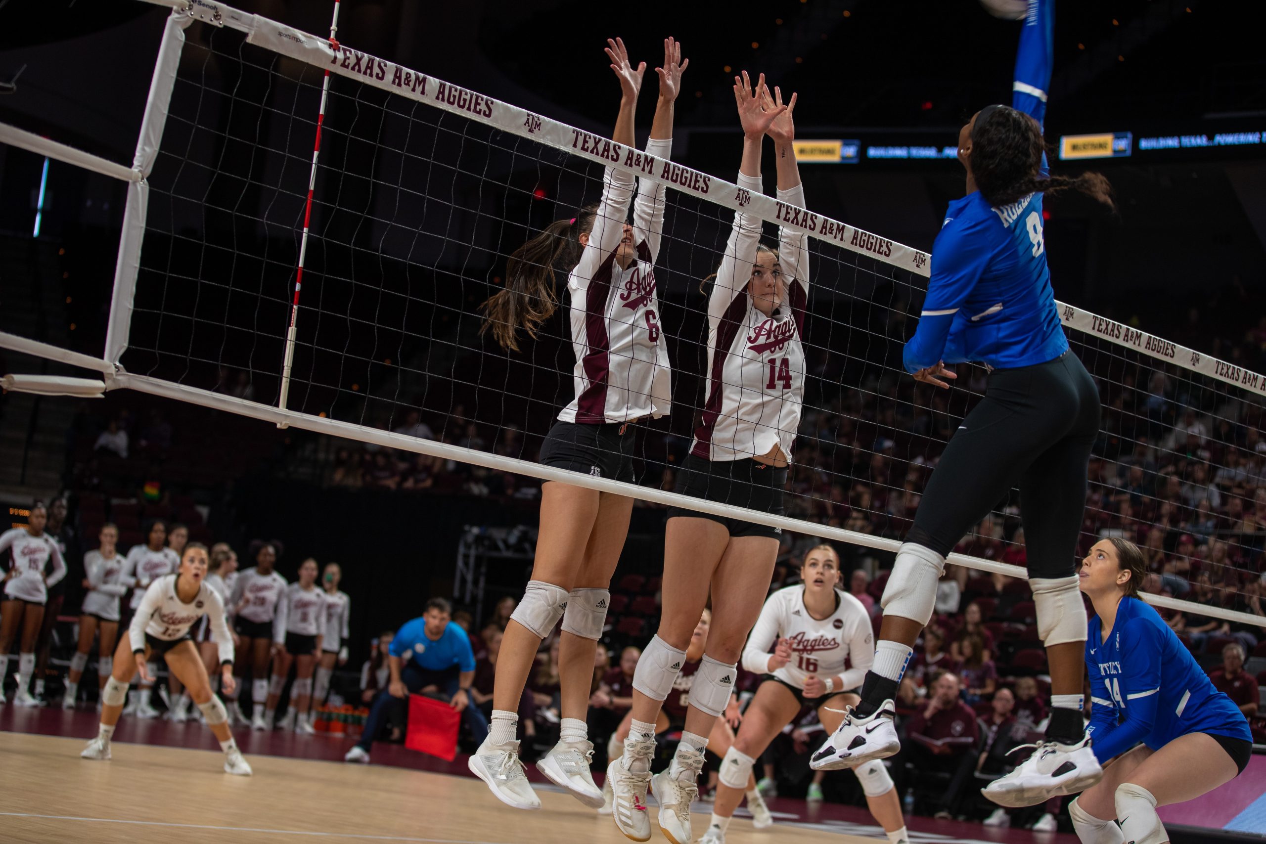 GALLERY; Volleyball vs. Kentucky