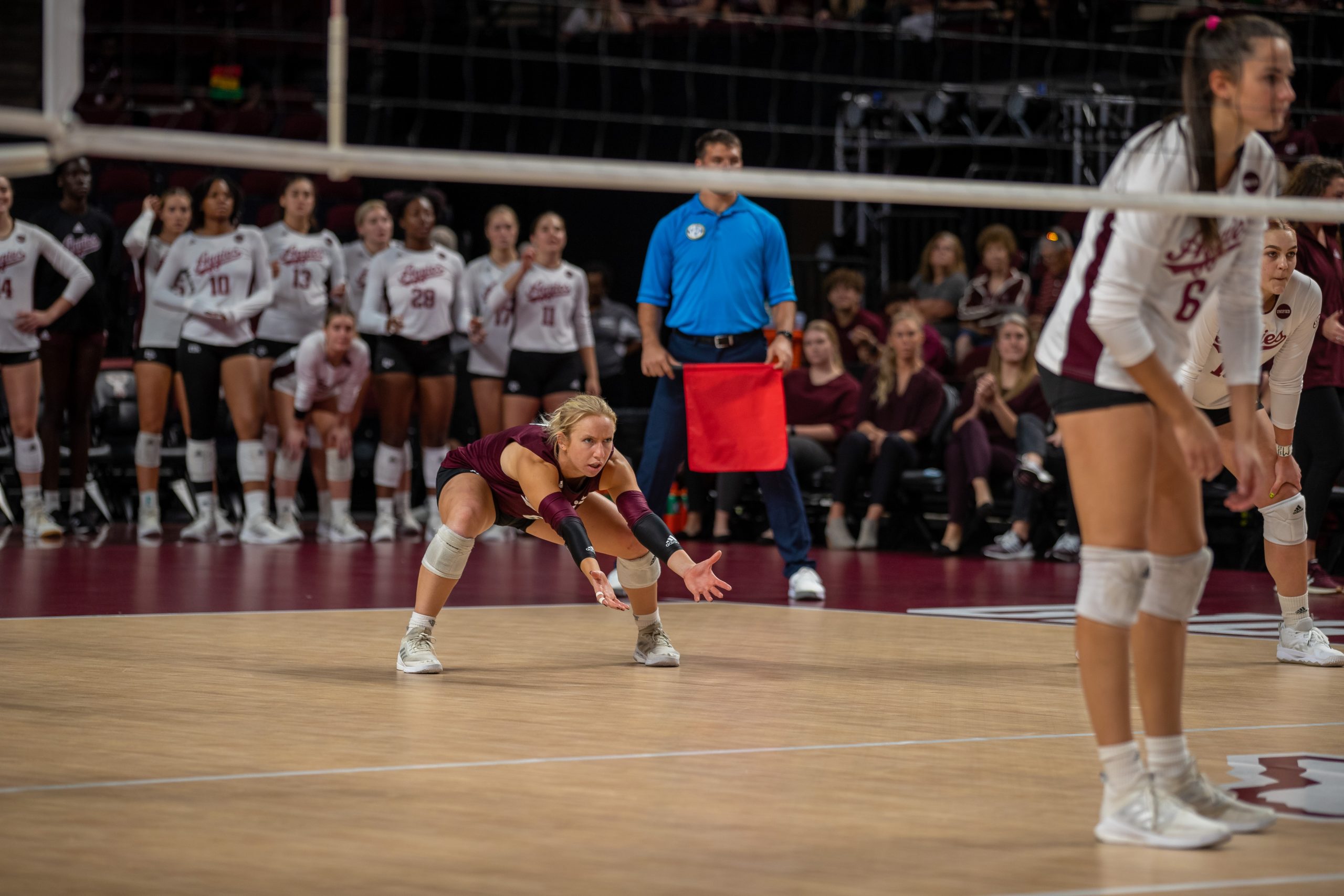 GALLERY; Volleyball vs. Kentucky